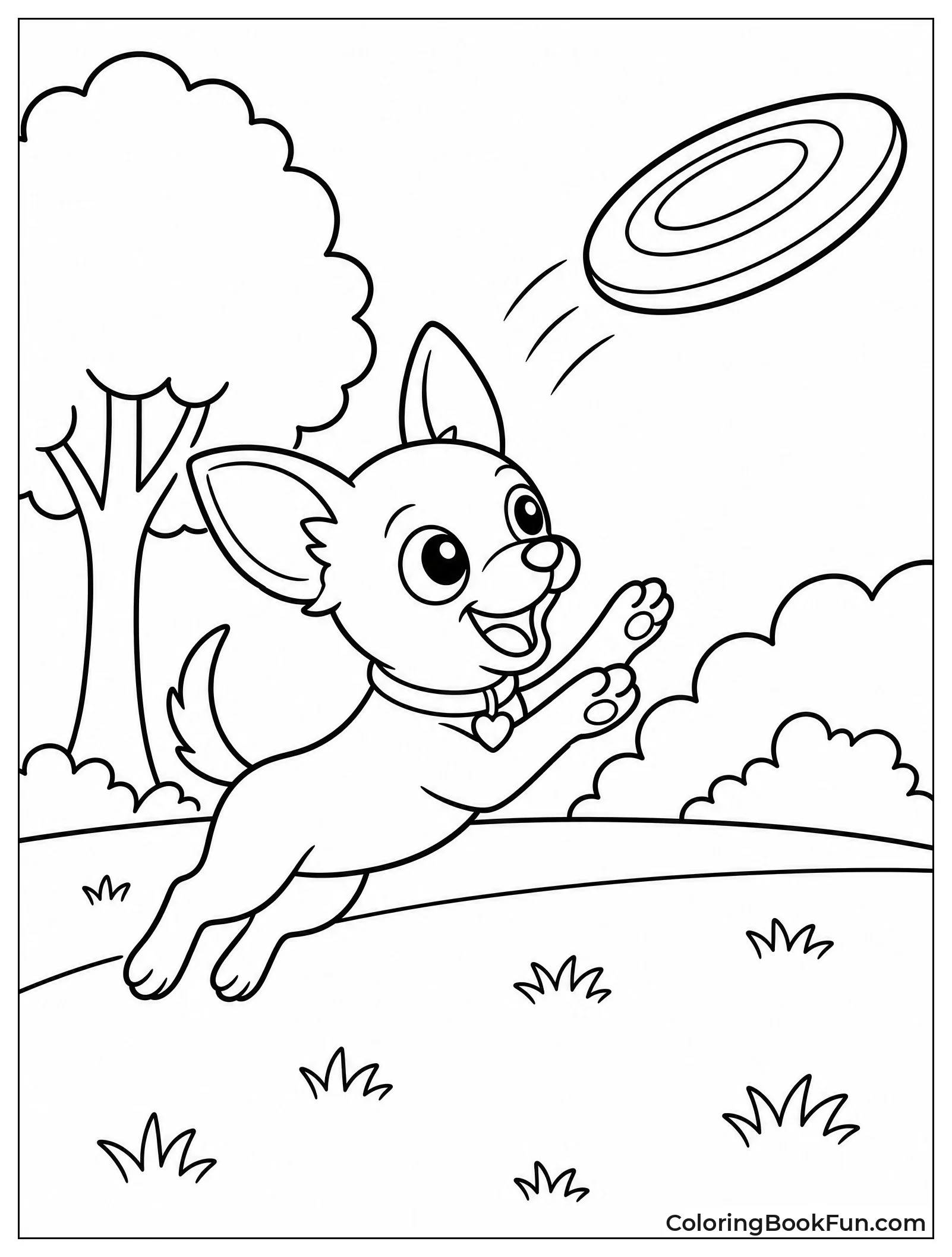 Chihuahua Leaping for Frisbee