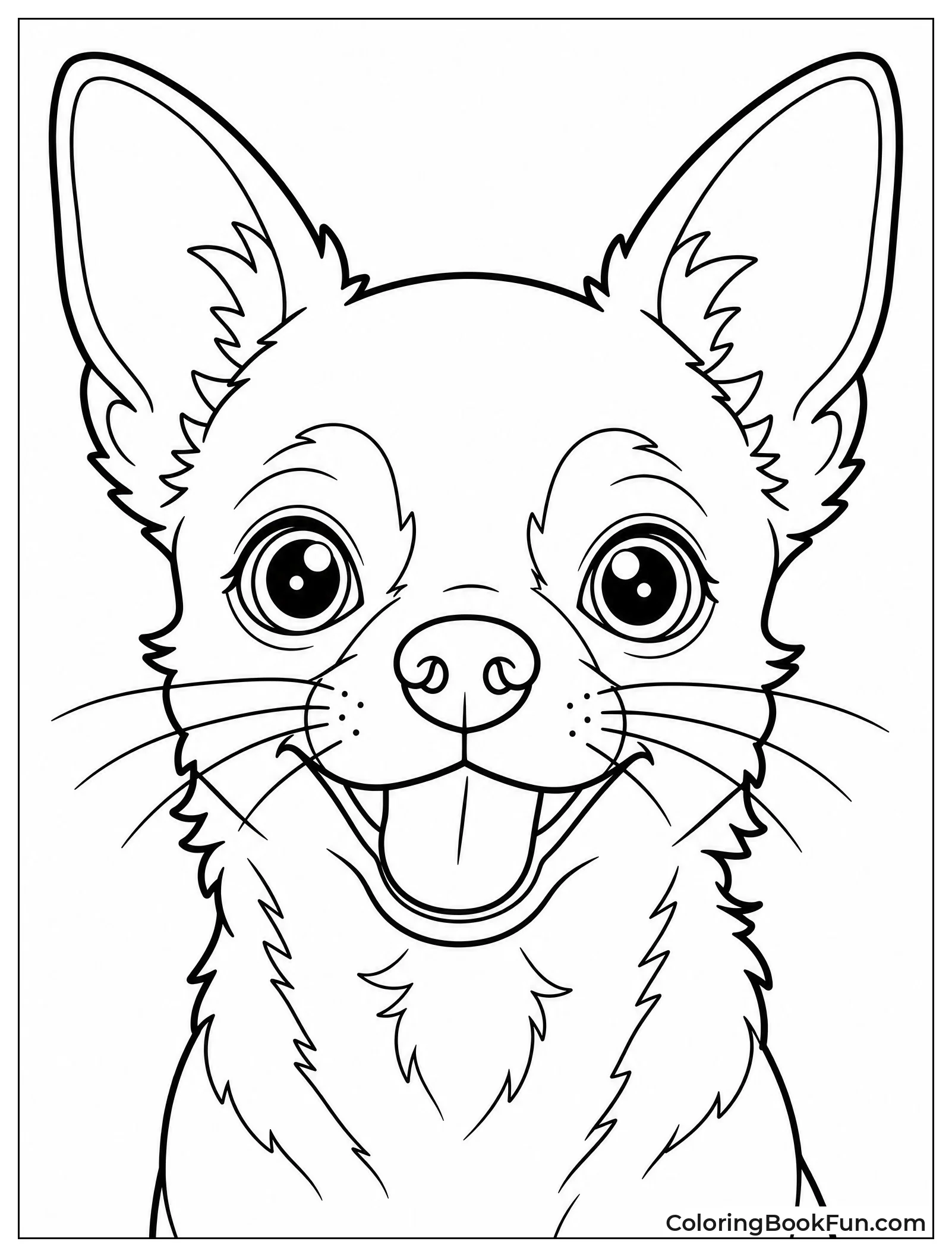 Close Up Chihuahua Face Portrait
