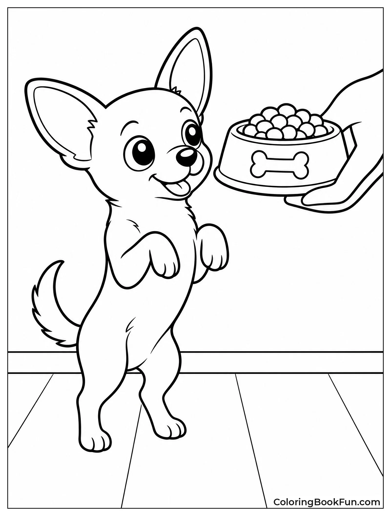 Chihuahua Waiting for Dinner
