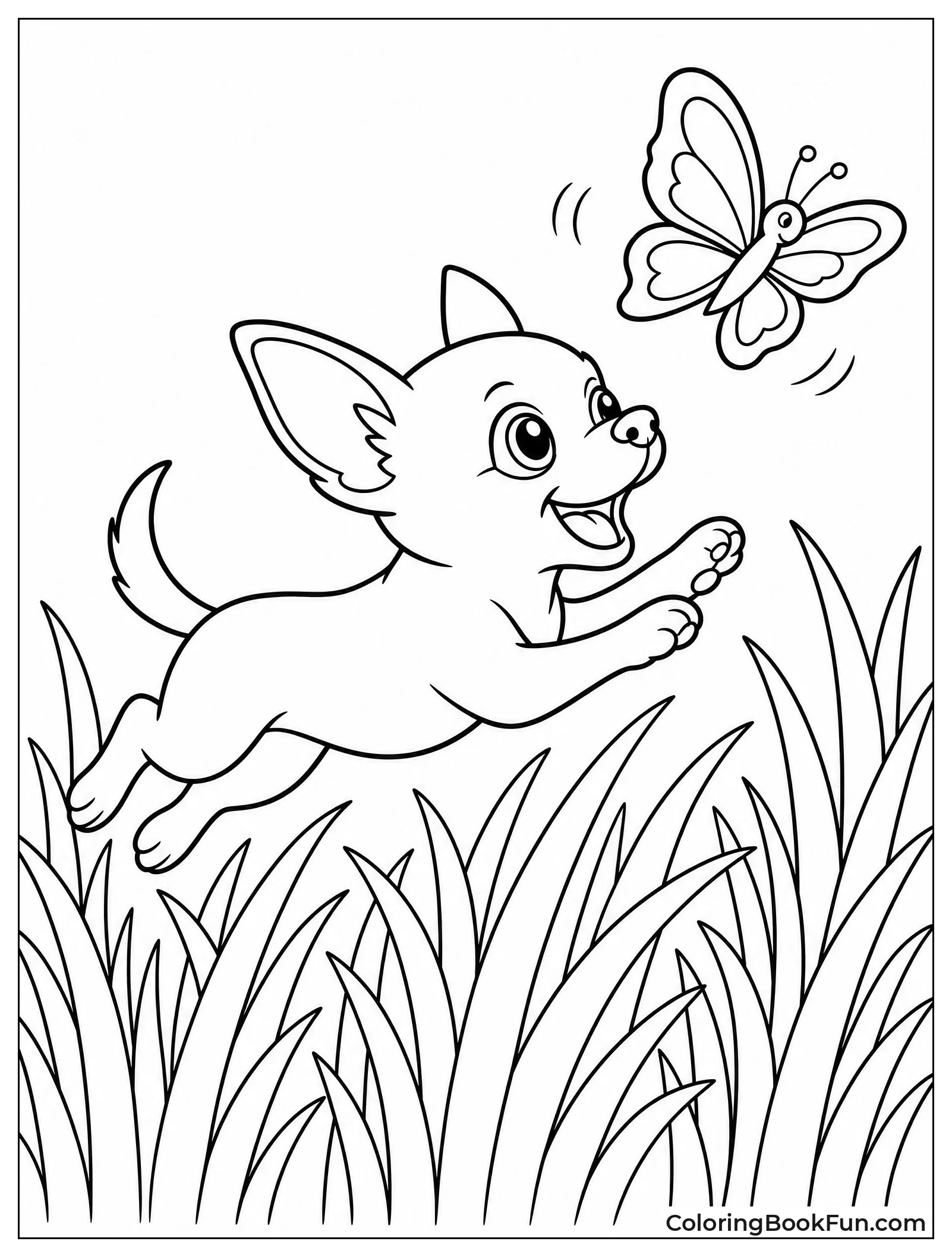 Chihuahua Chasing Butterfly in Grass