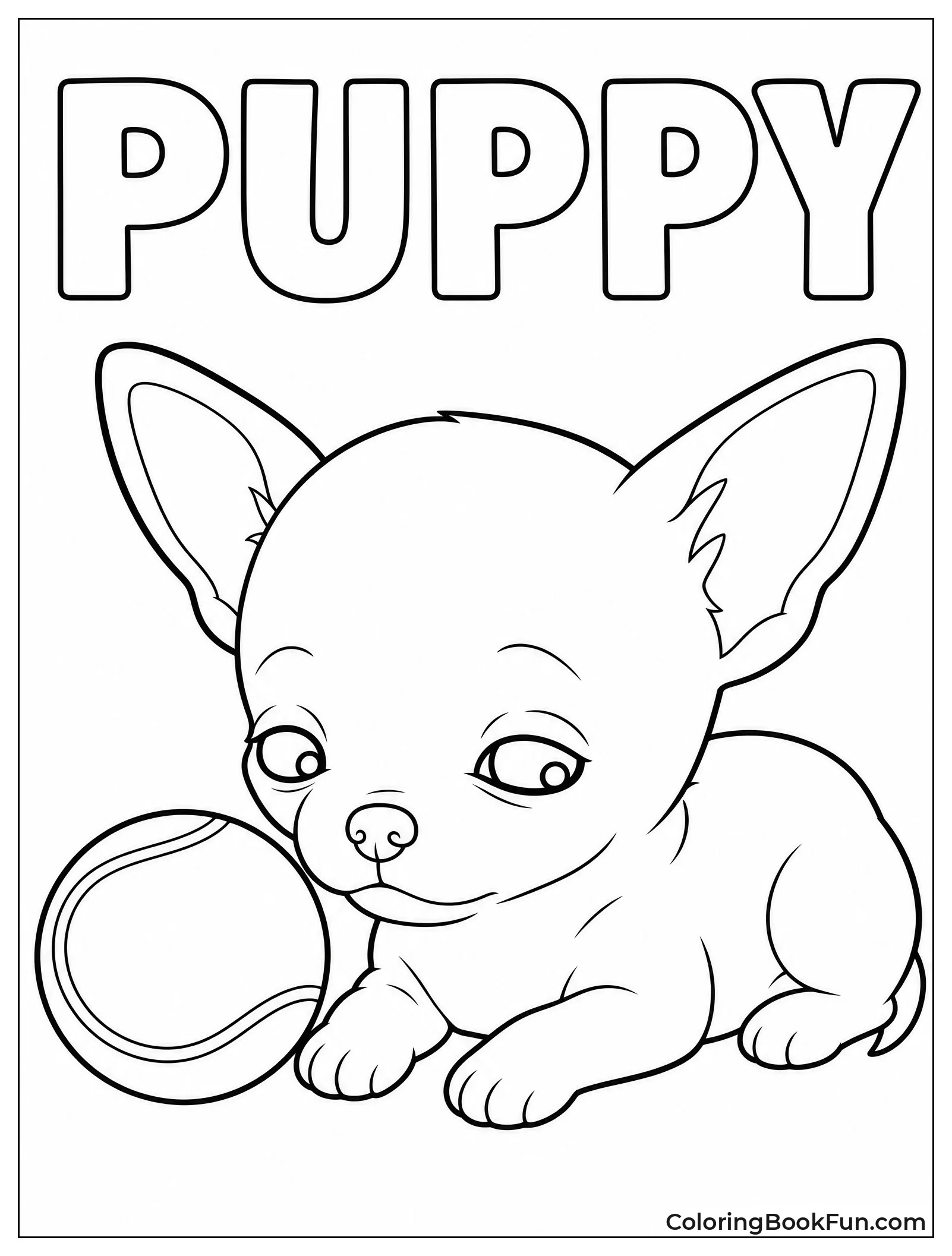 Newborn Chihuahua next to Ball