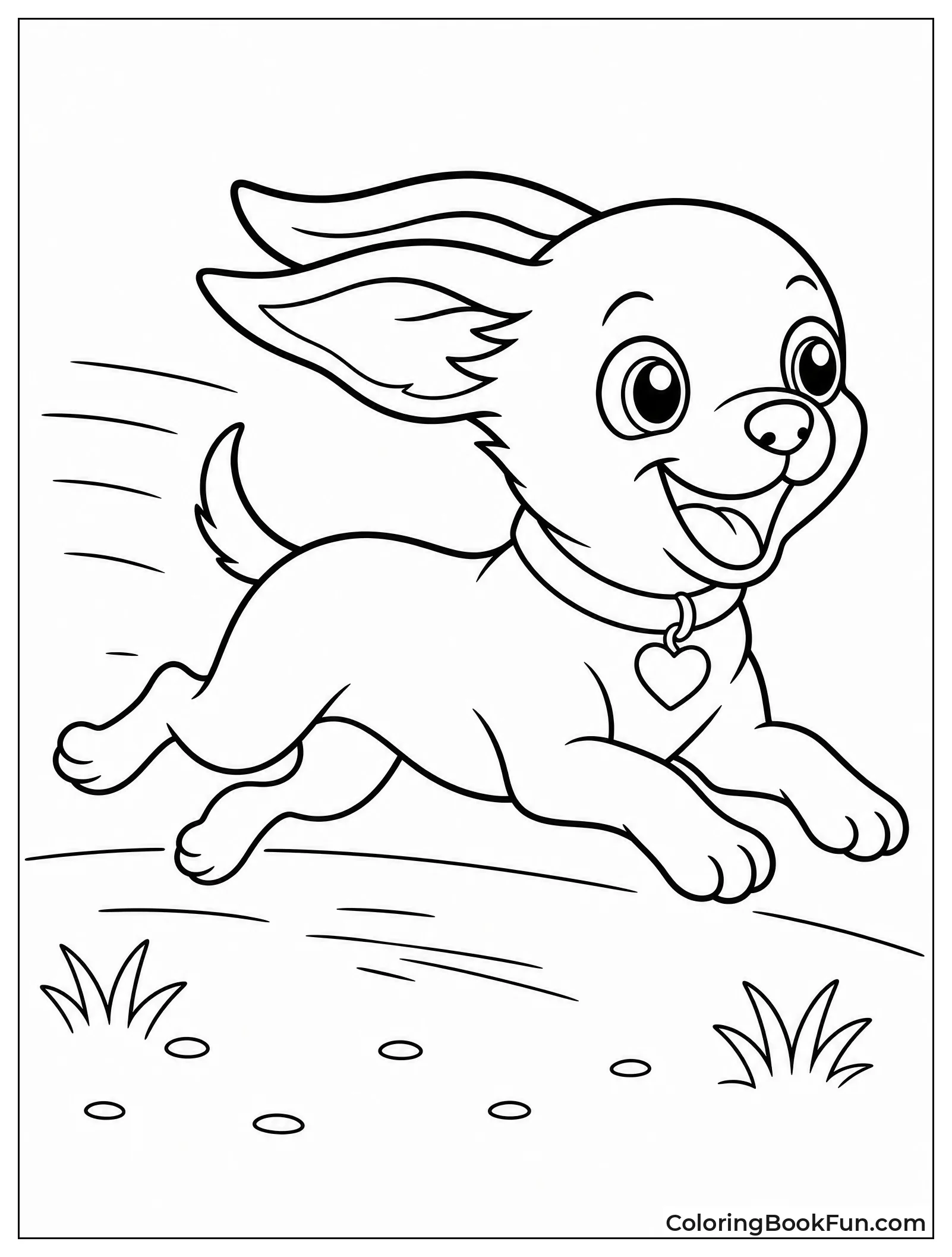 Chihuahua Running at Full Speed