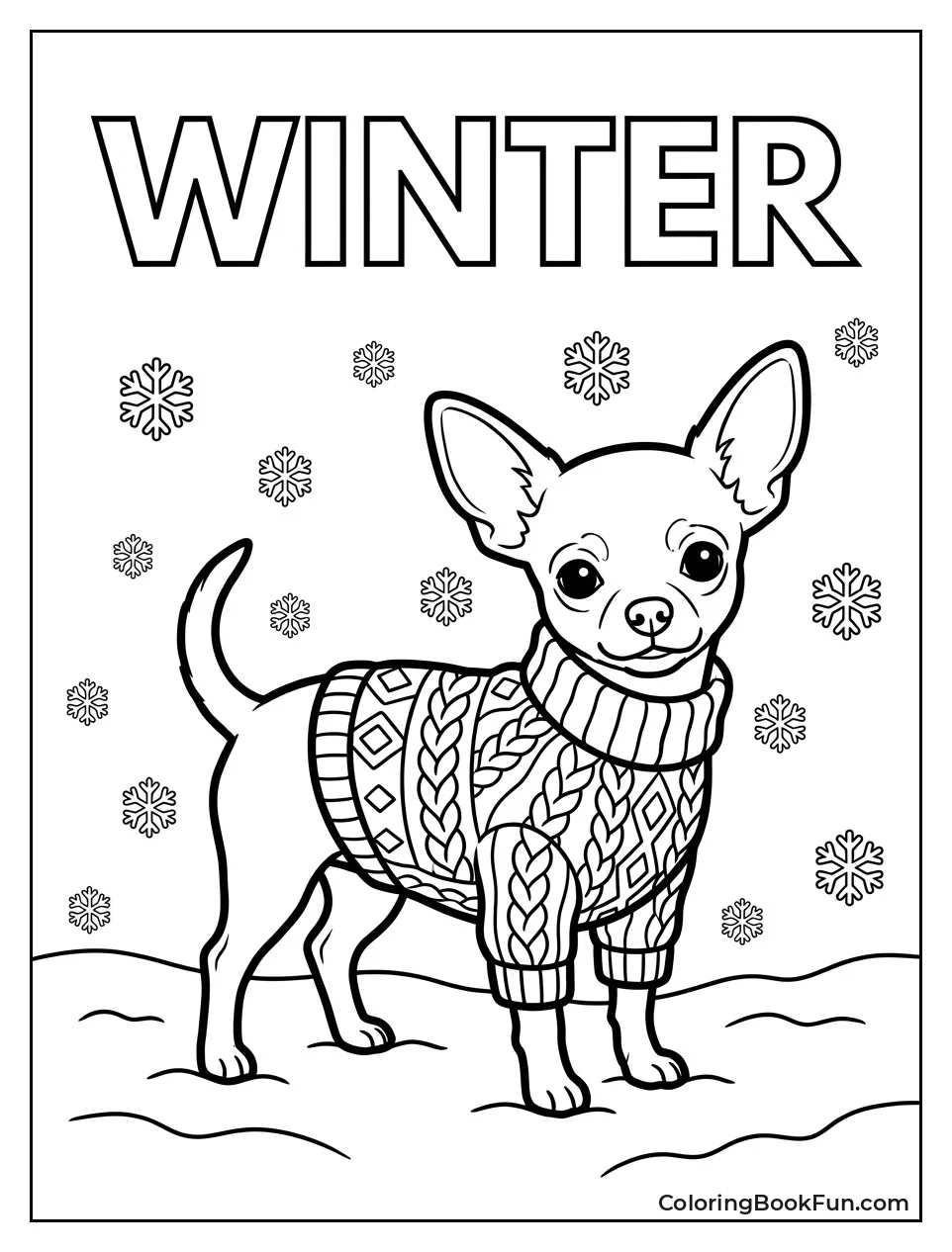 Chihuahua Wearing Winter Sweater