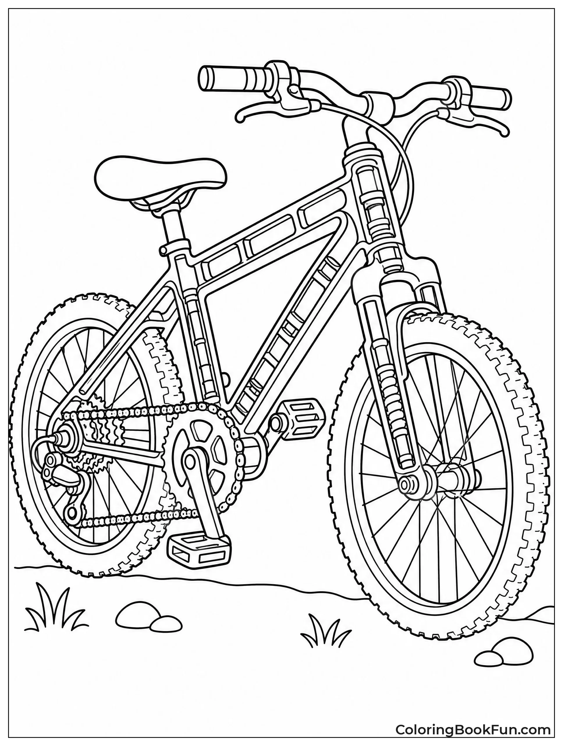 Cutaway View of Bike Gears