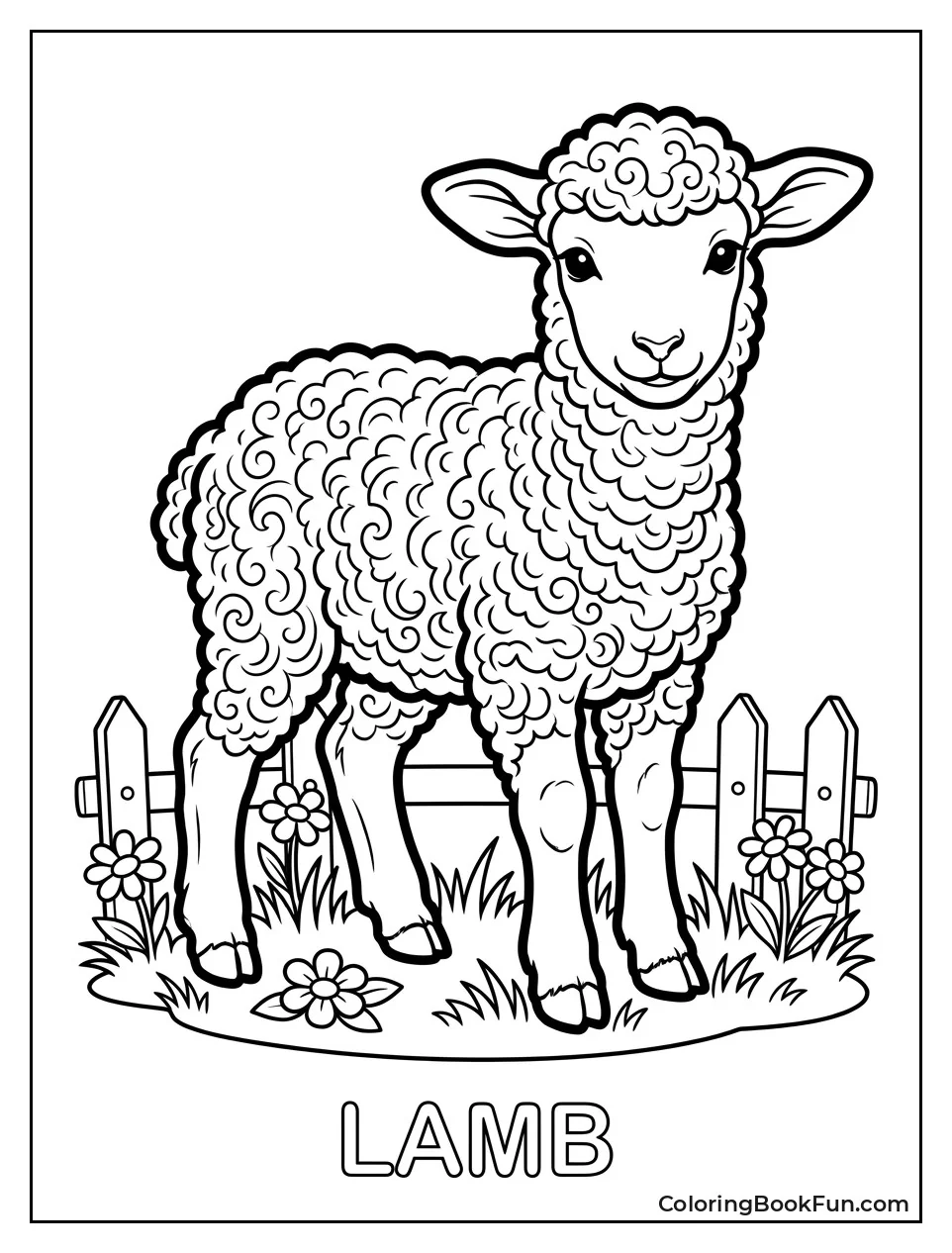 Lamb with Detailed Curly Wool
