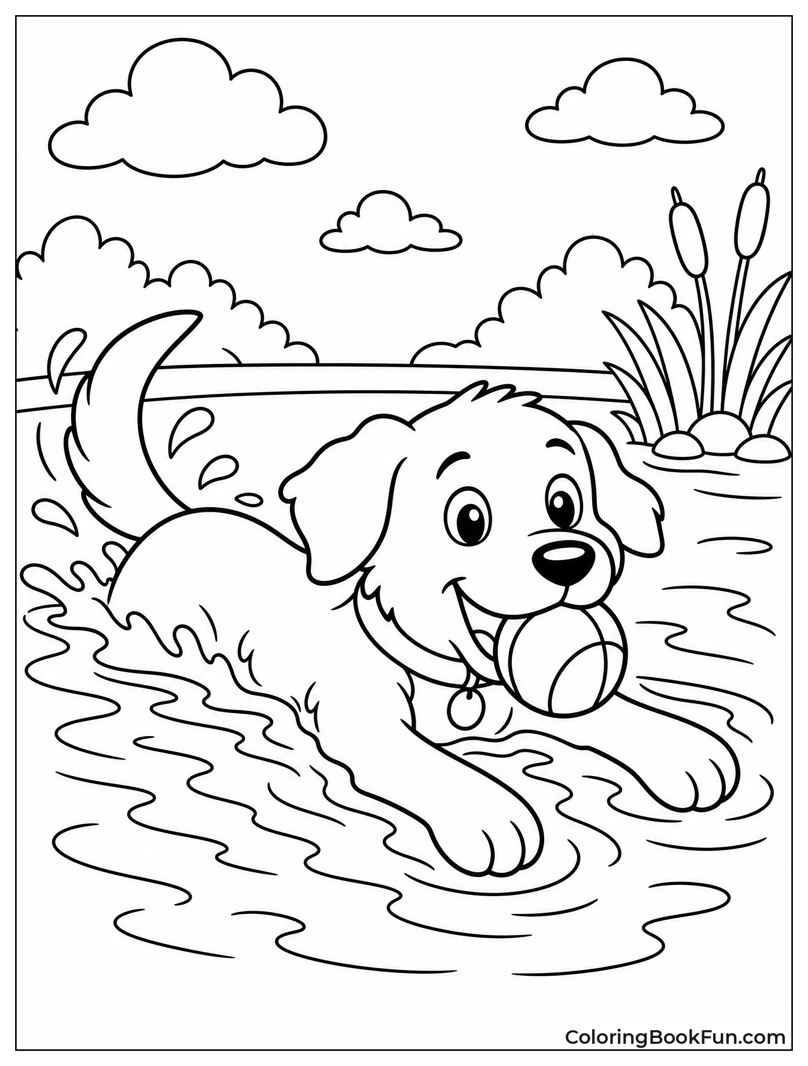 Dog Swims Fetching a Ball