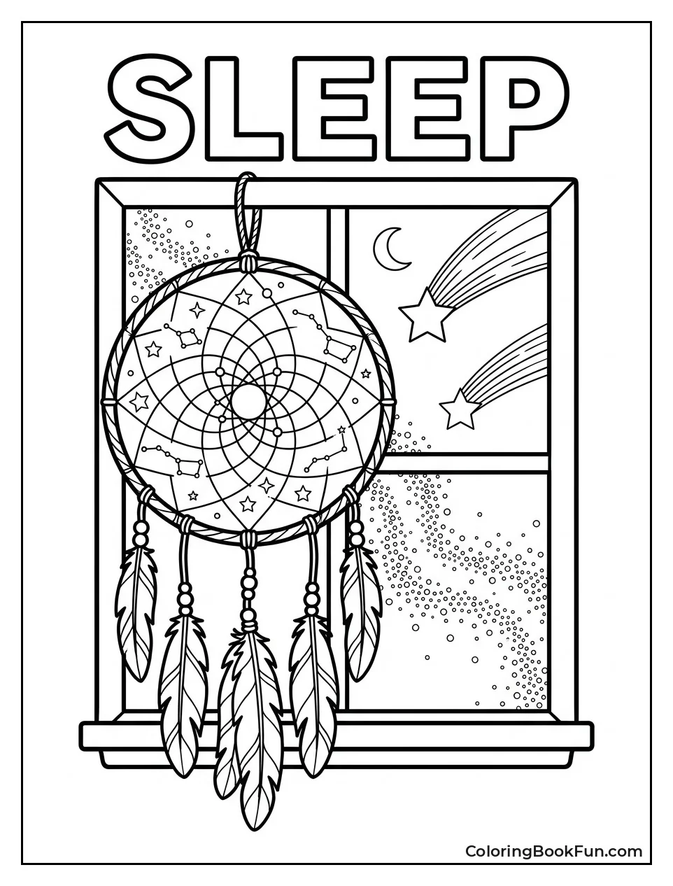 Dreamcatcher Views Milky Way Sky