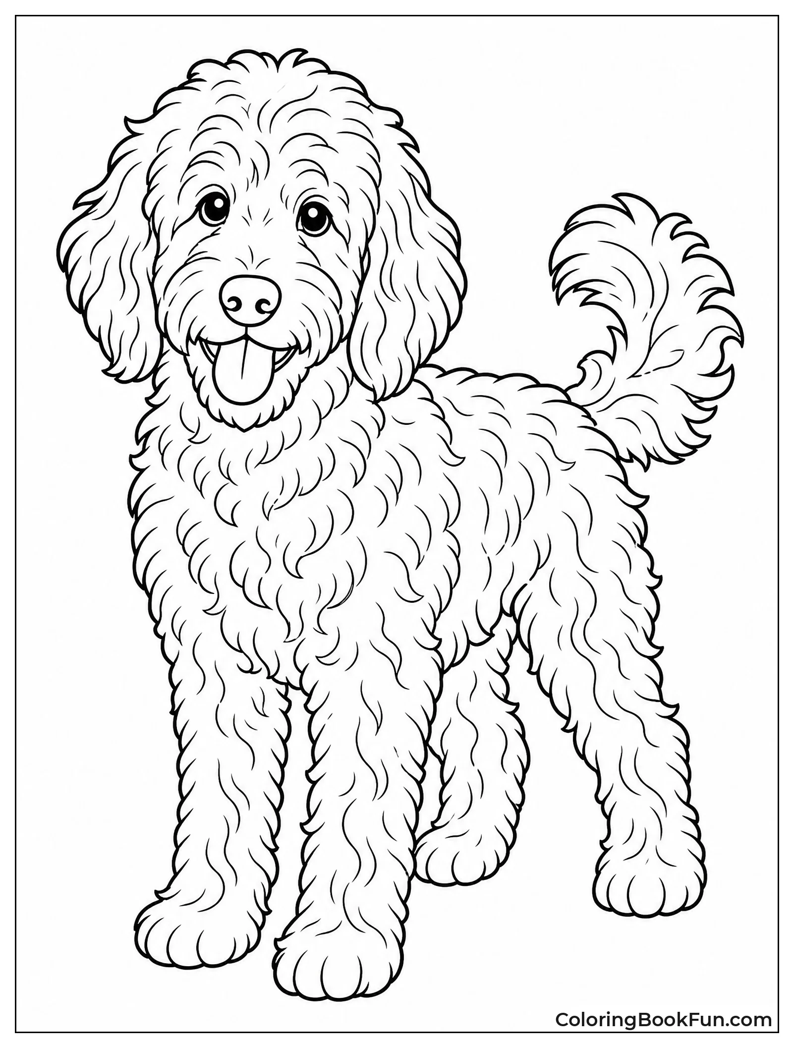Detailed Curly Fur on Goldendoodle