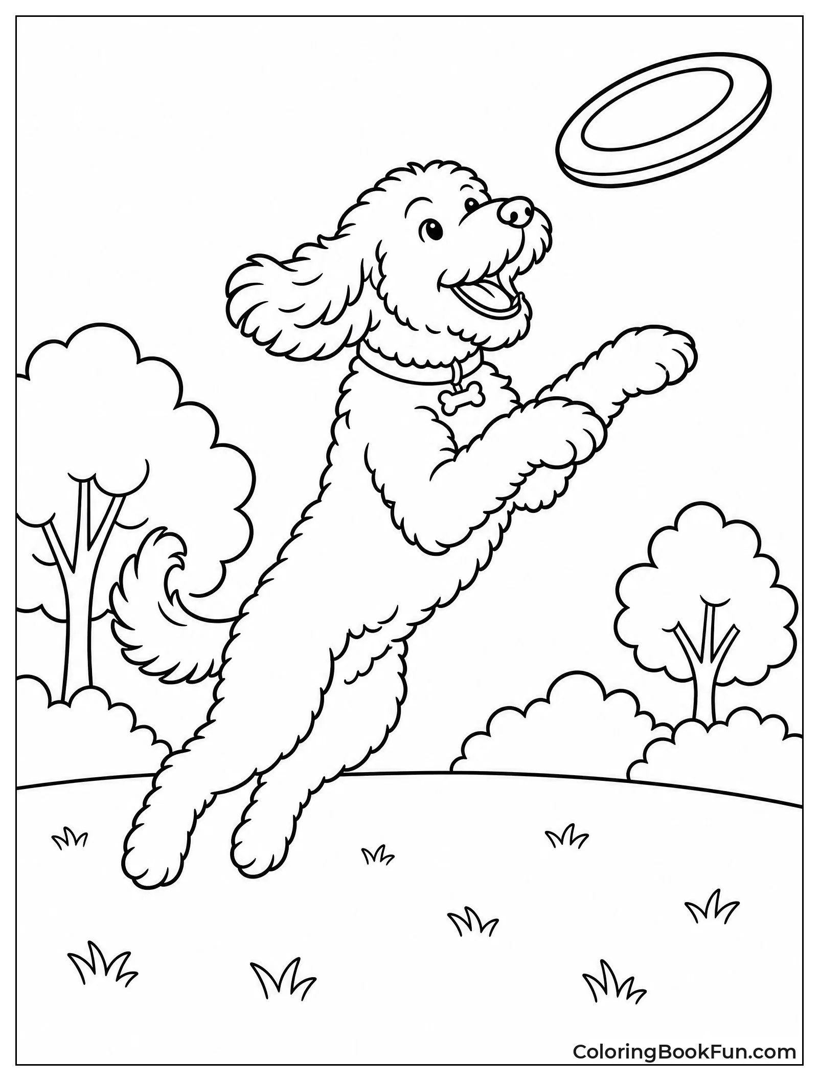 Dog Leaps High to Catch Frisbee