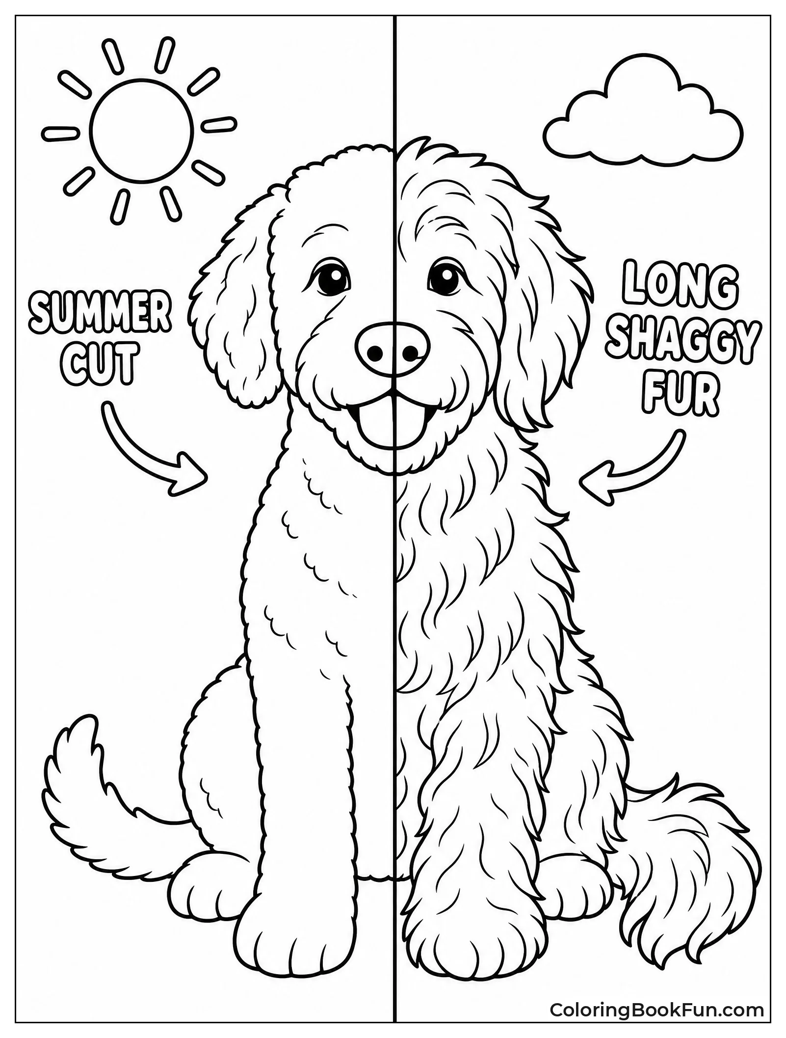 Split View of Groomed and Shaggy Dog