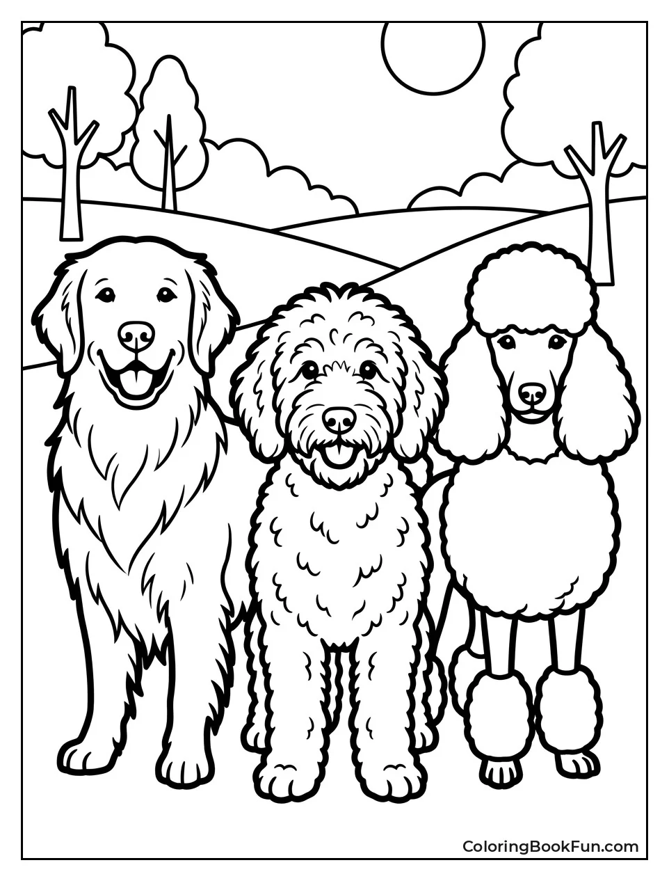 Goldendoodle Between Poodle and Retriever