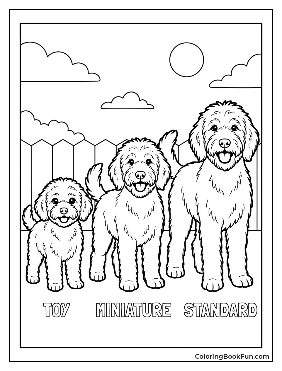 Three Goldendoodle Sizes Side by Side