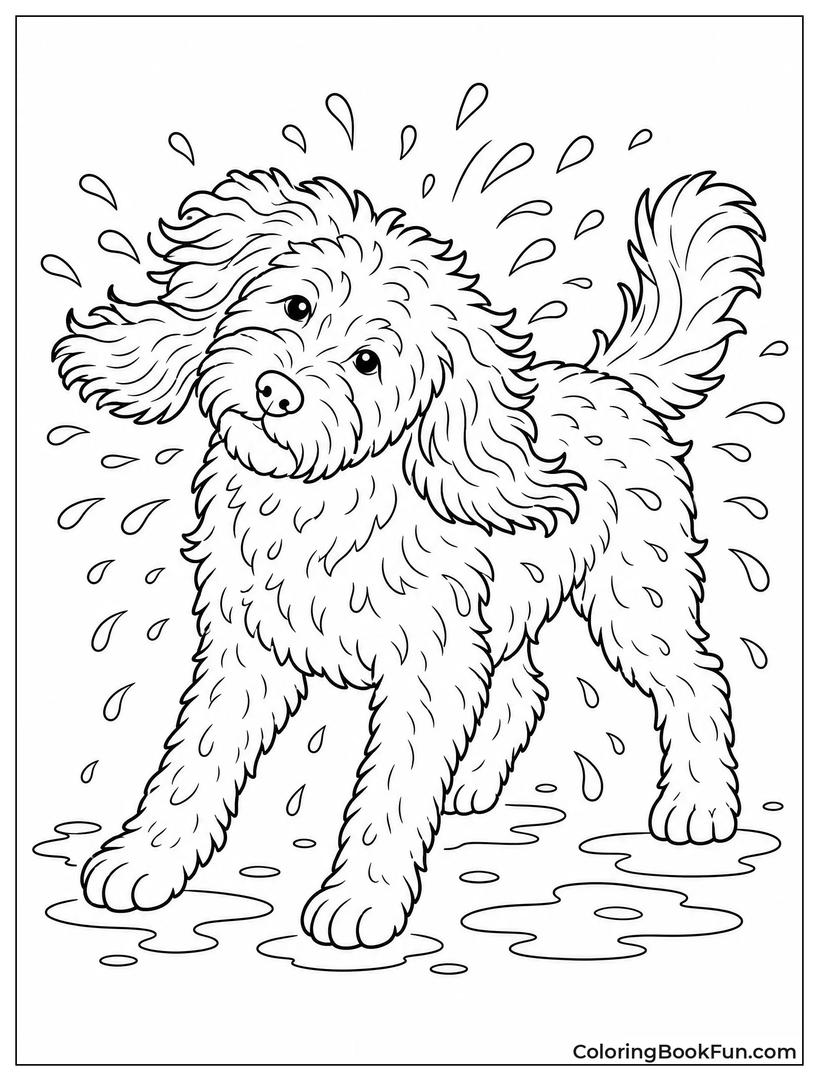 Dog Shakes Water off Its Coat