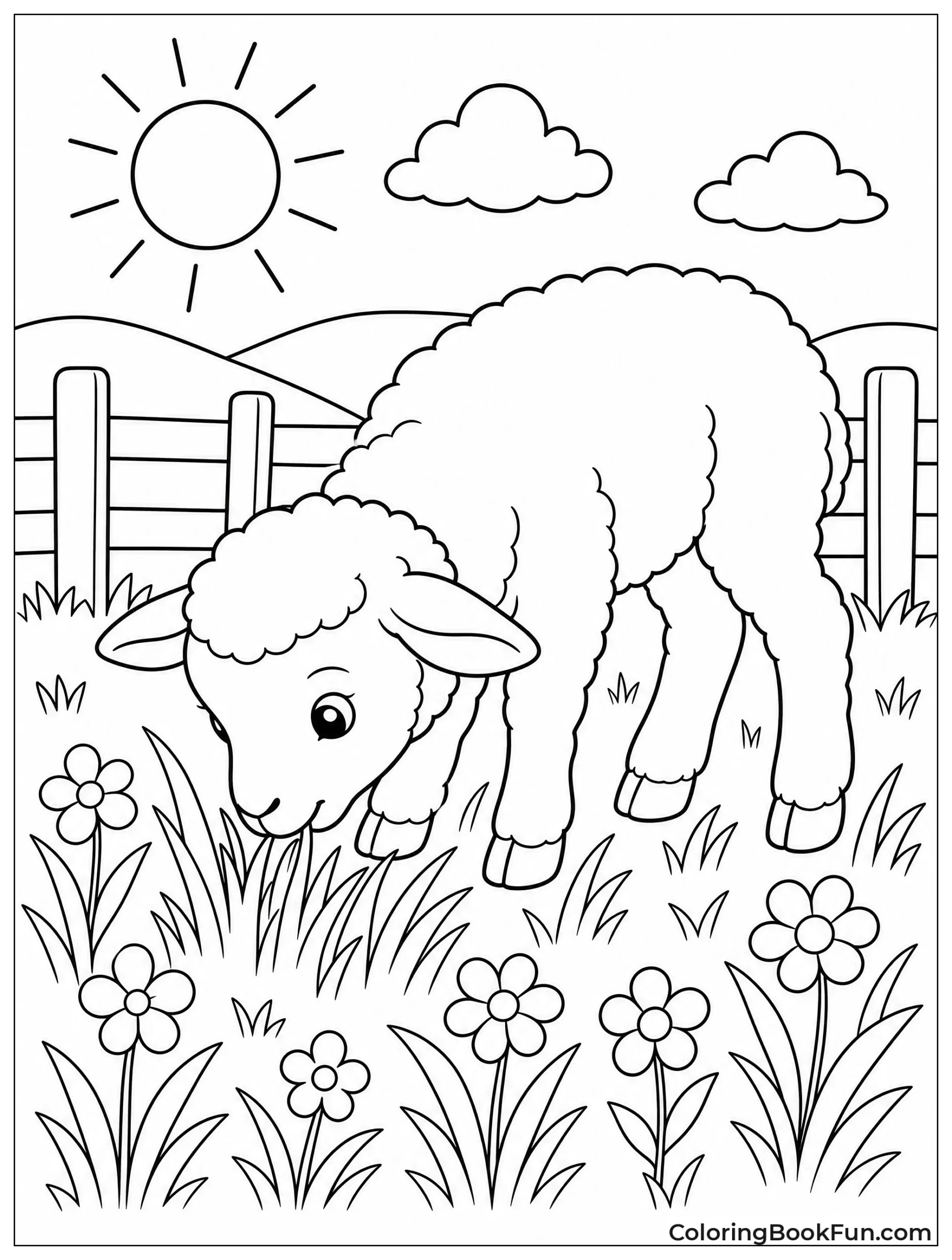 Lamb Grazes in Sunny Meadow