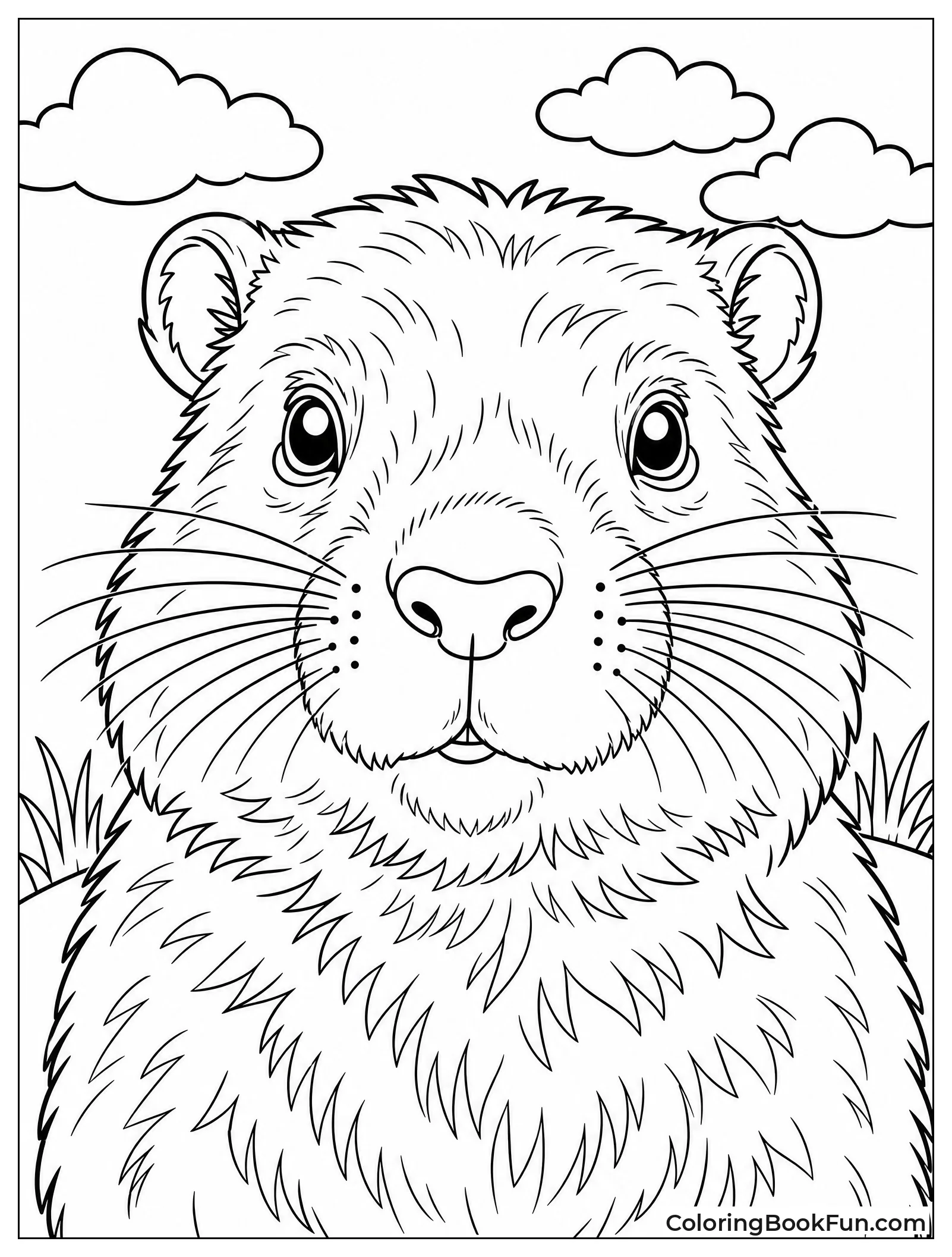 Close-up of Groundhog Face Details