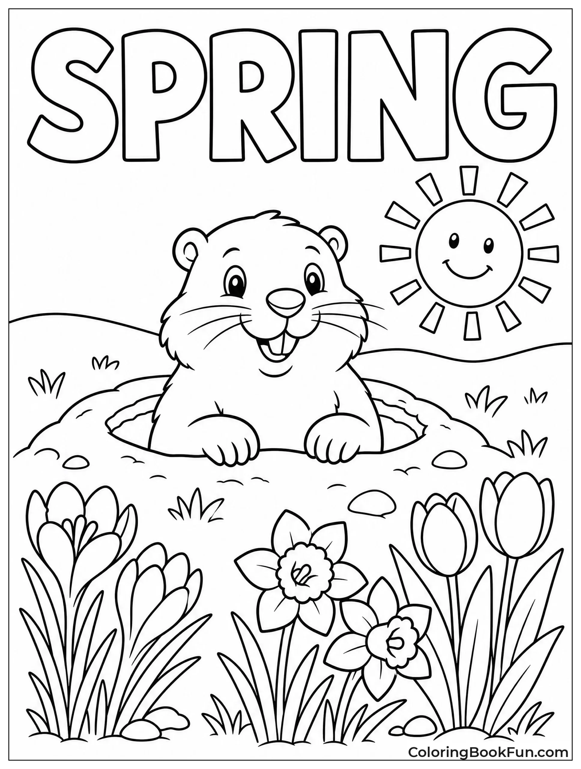 Groundhog Peeking from Its Burrow