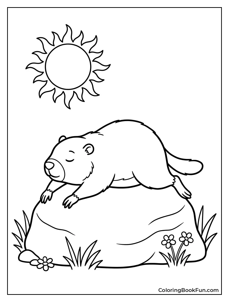 Groundhog Sunbathing on a Rock