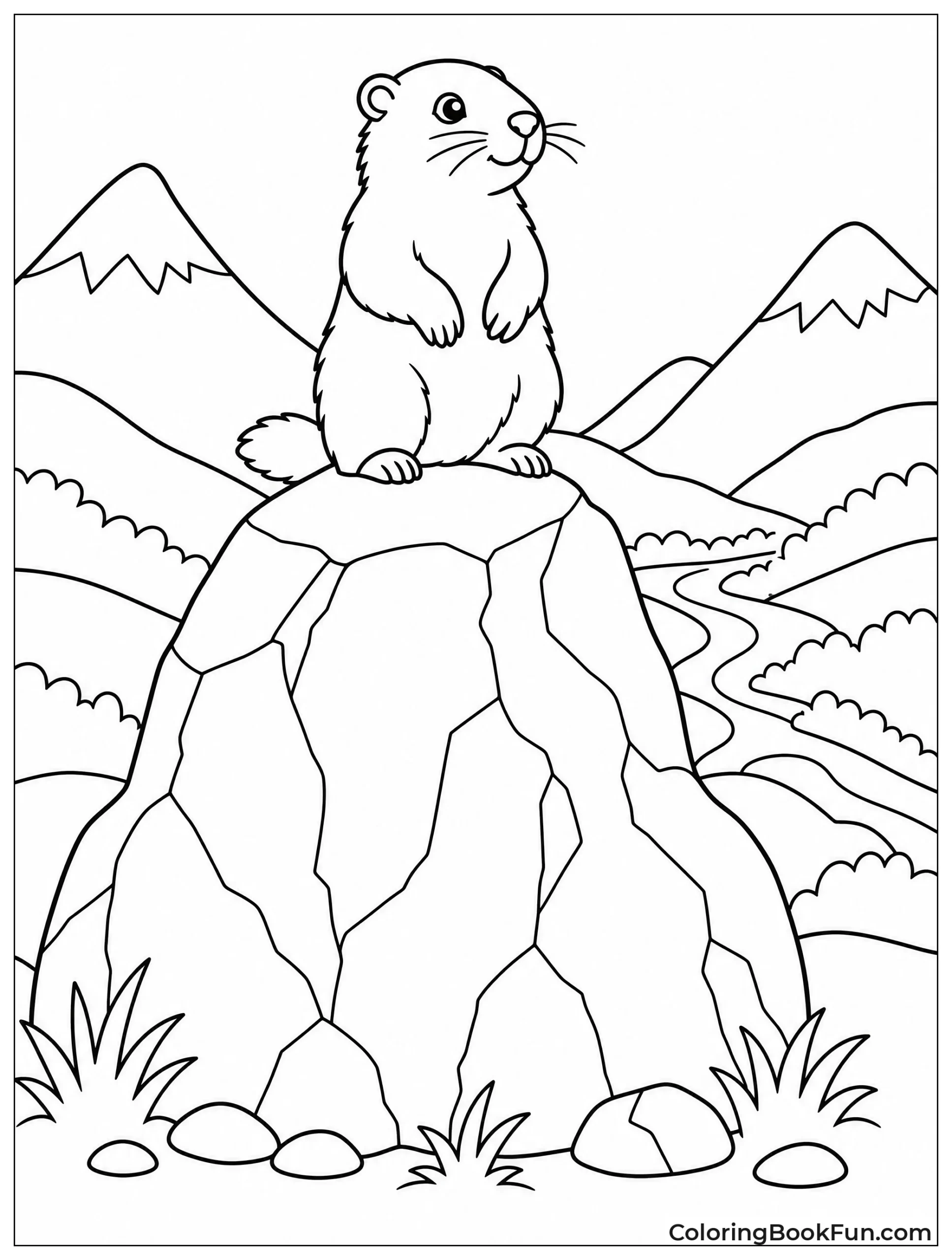 Groundhog on a Lookout Rock