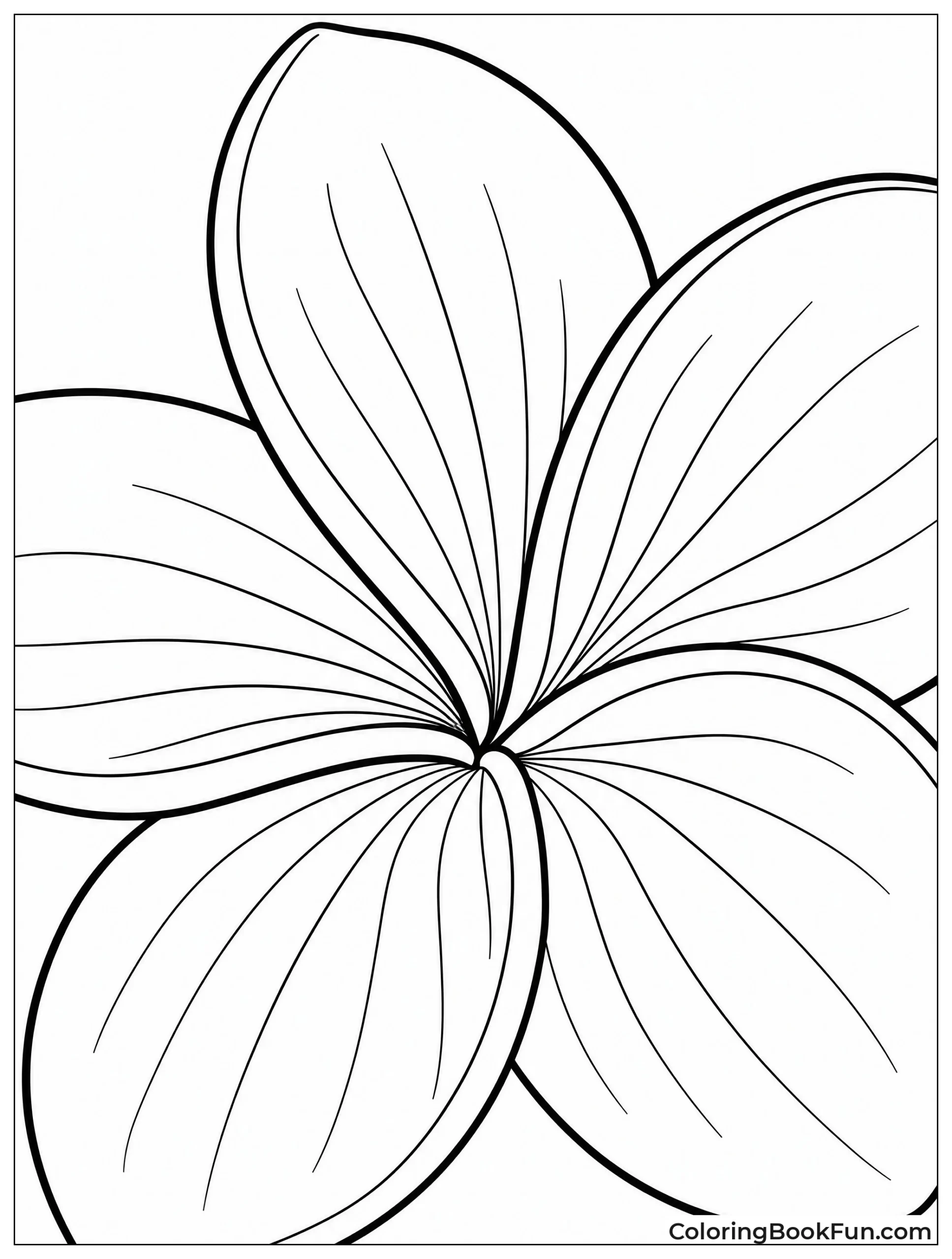 Plumeria Petals Show Fine Details