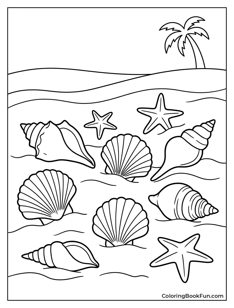 Seashells and Starfish on Sand