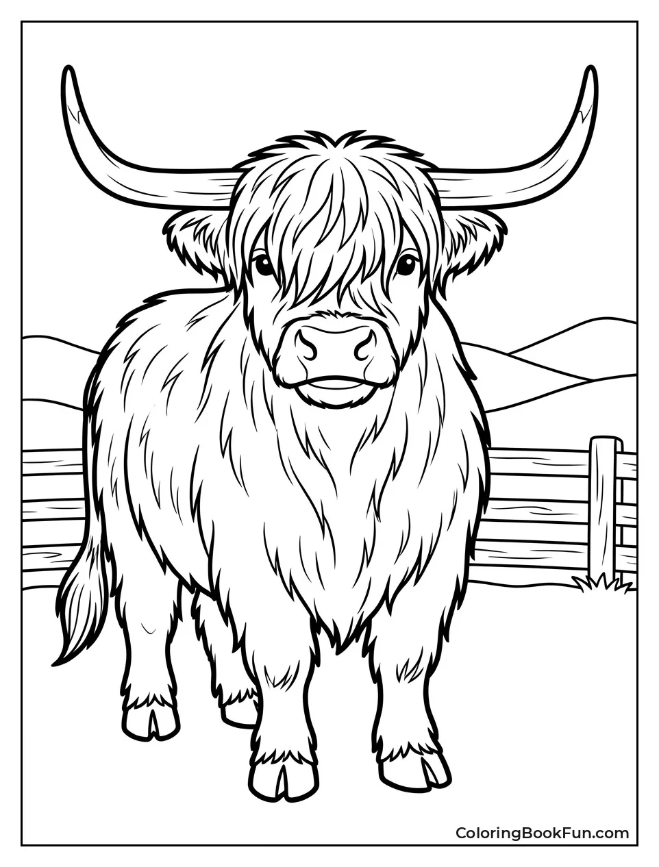 Shaggy Highland Bull in Field