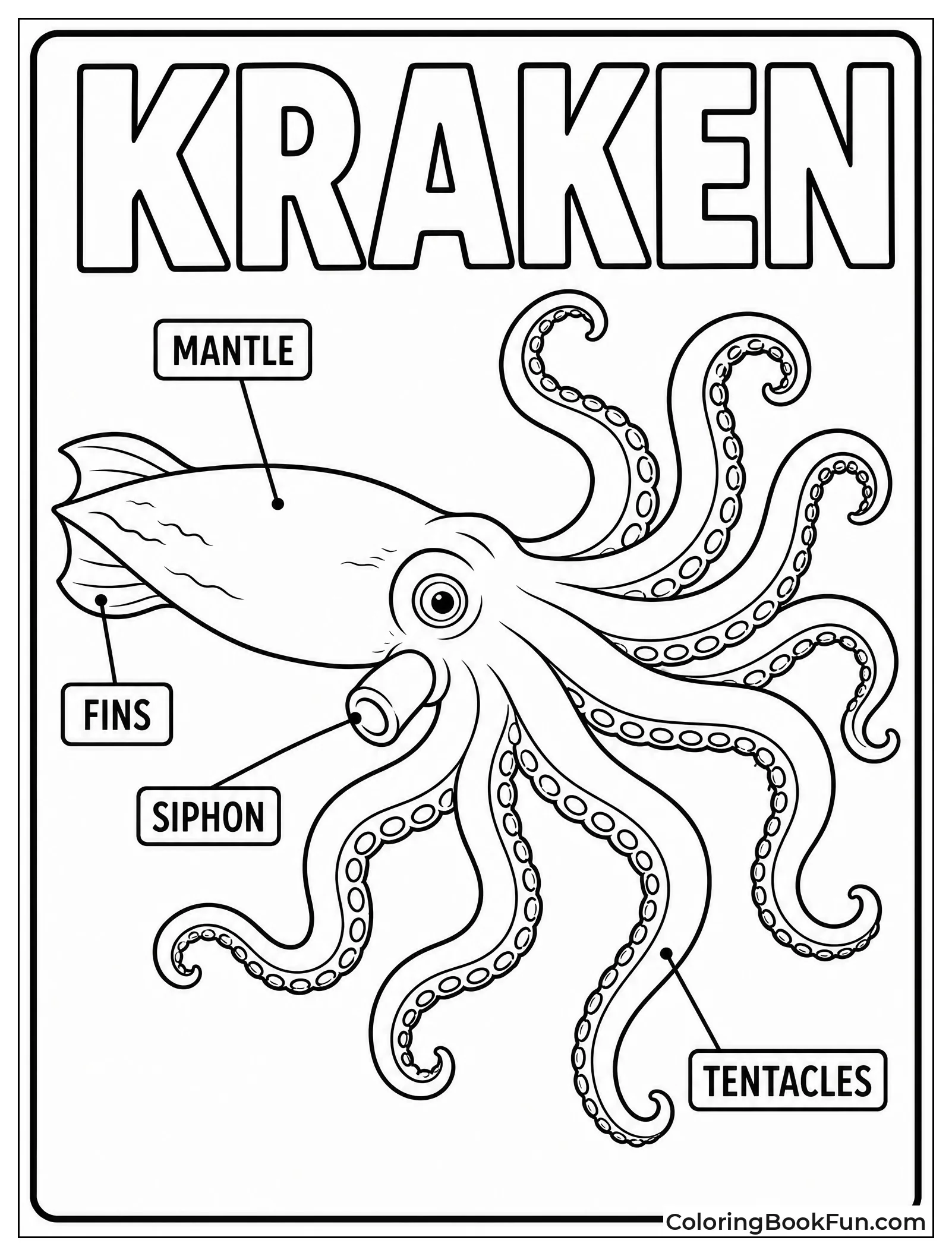Kraken Anatomy with Labels