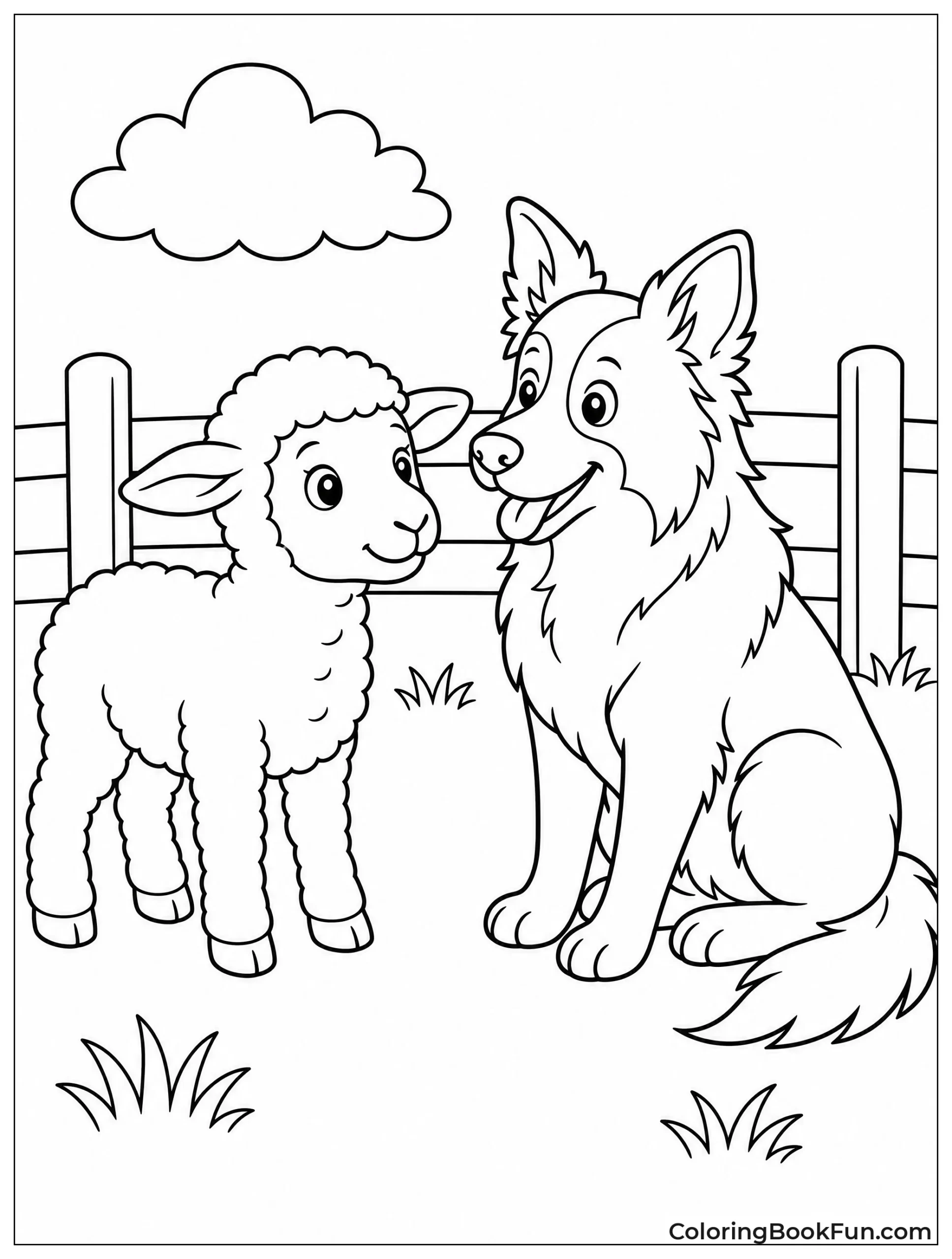 Lamb Meets Friendly Border Collie