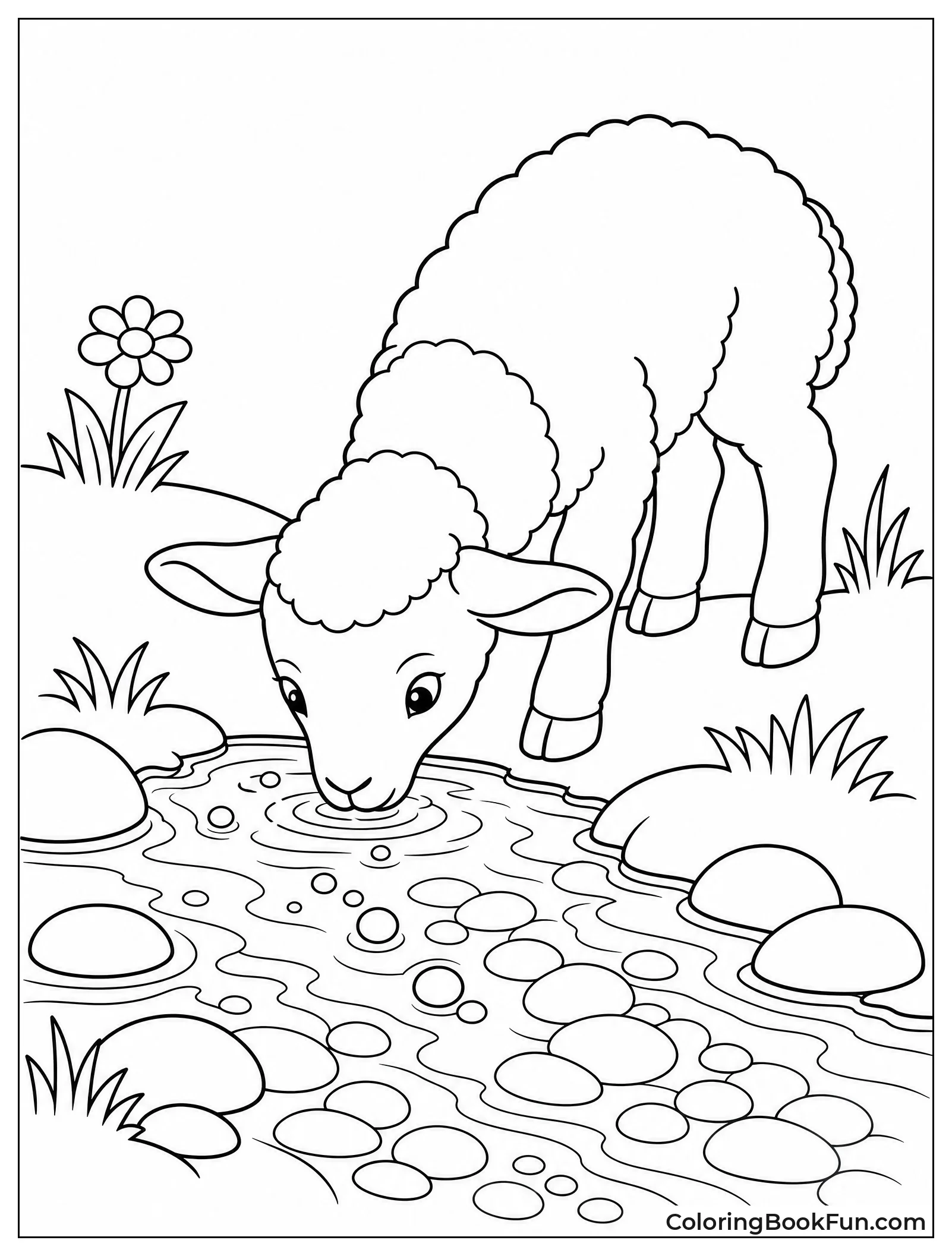 Lamb Drinks from Bubbling Brook