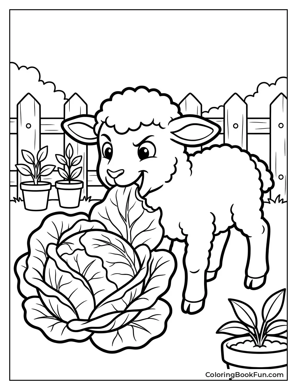 Lamb Nibbles on Cabbage Leaf