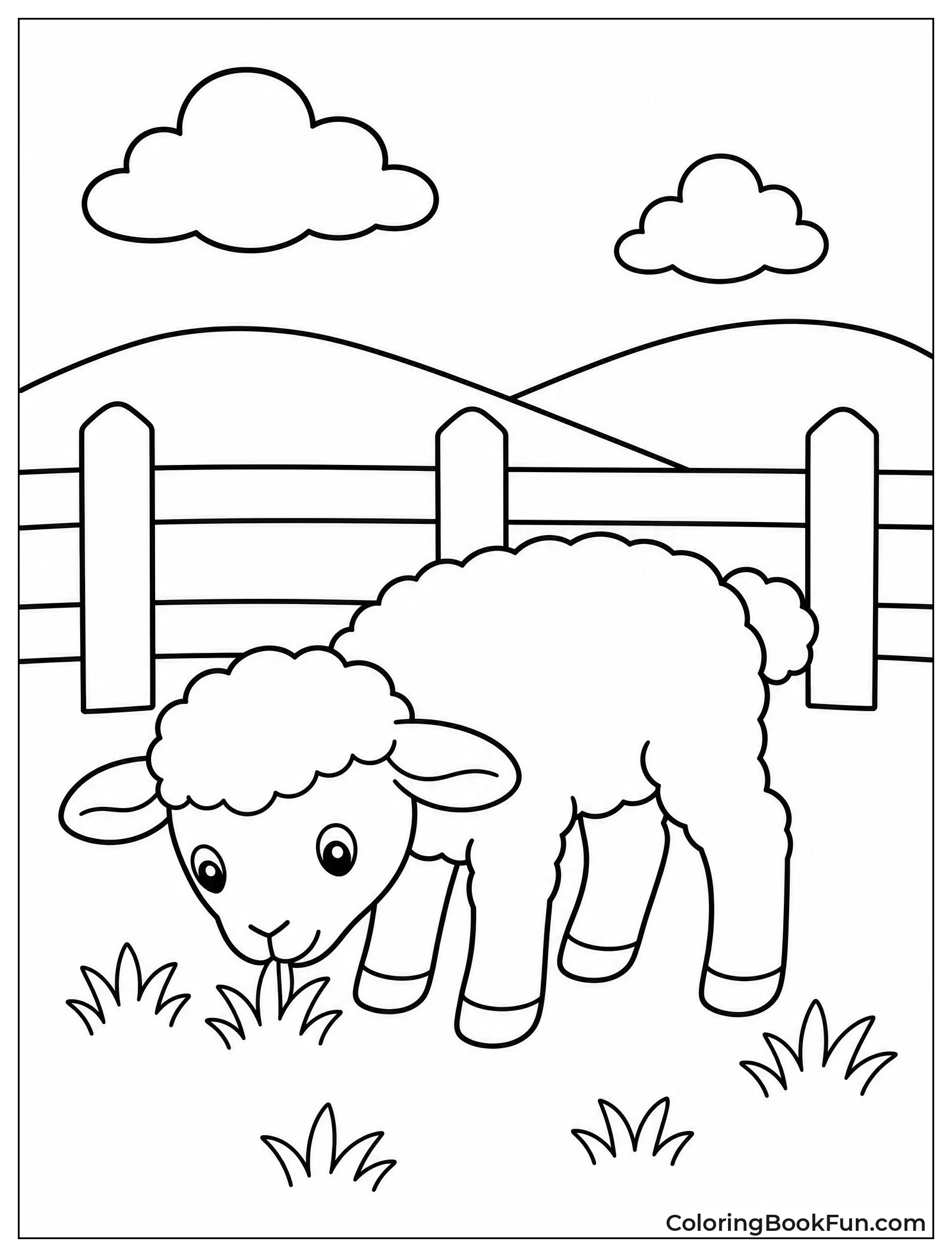 Lamb Grazes in Fenced Pasture