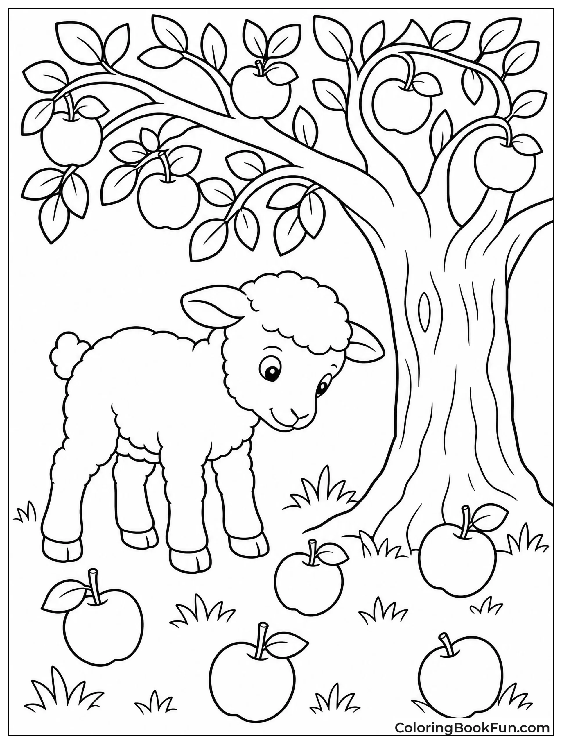 Lamb Checks Fallen Apples