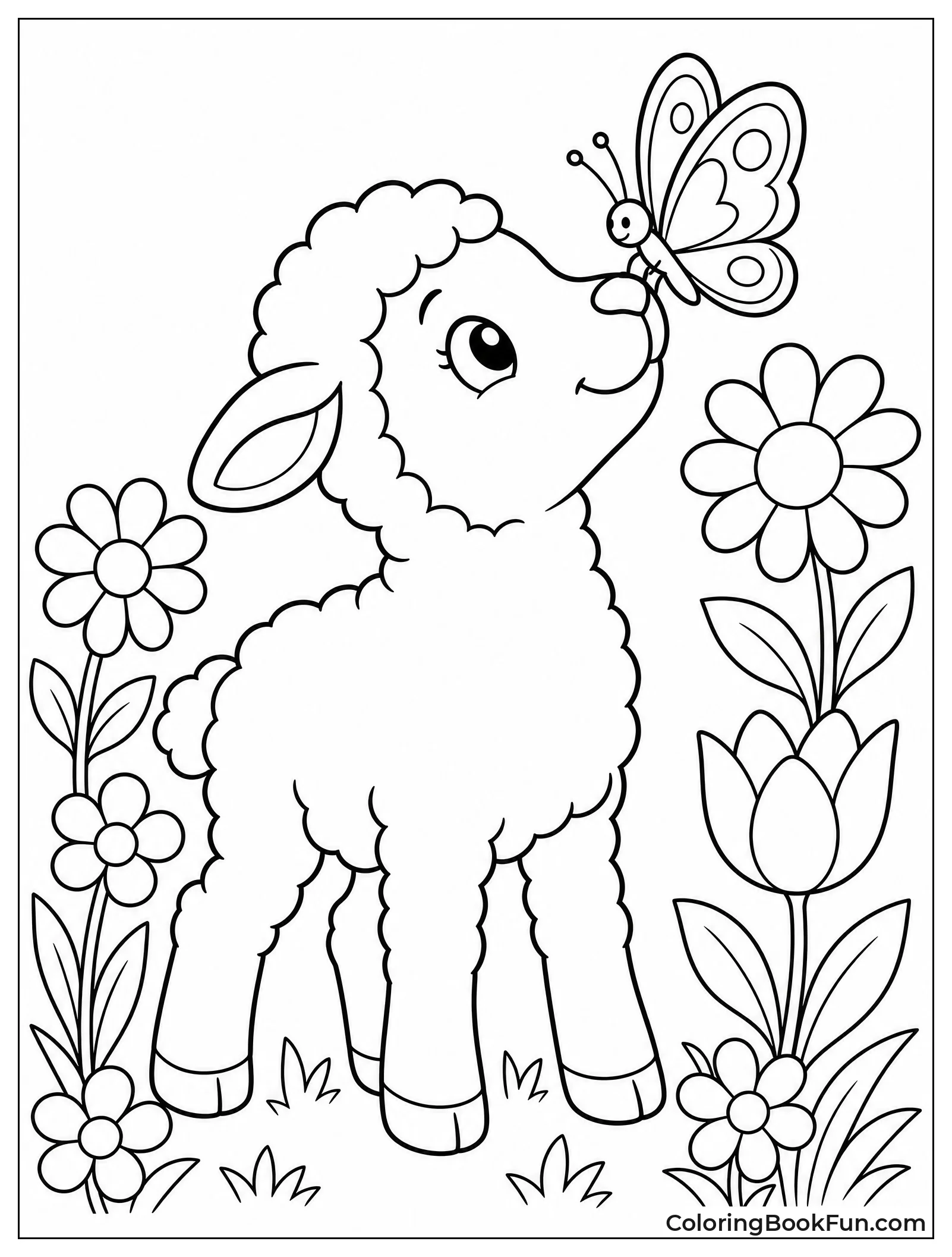 Lamb Watches Butterfly on Nose
