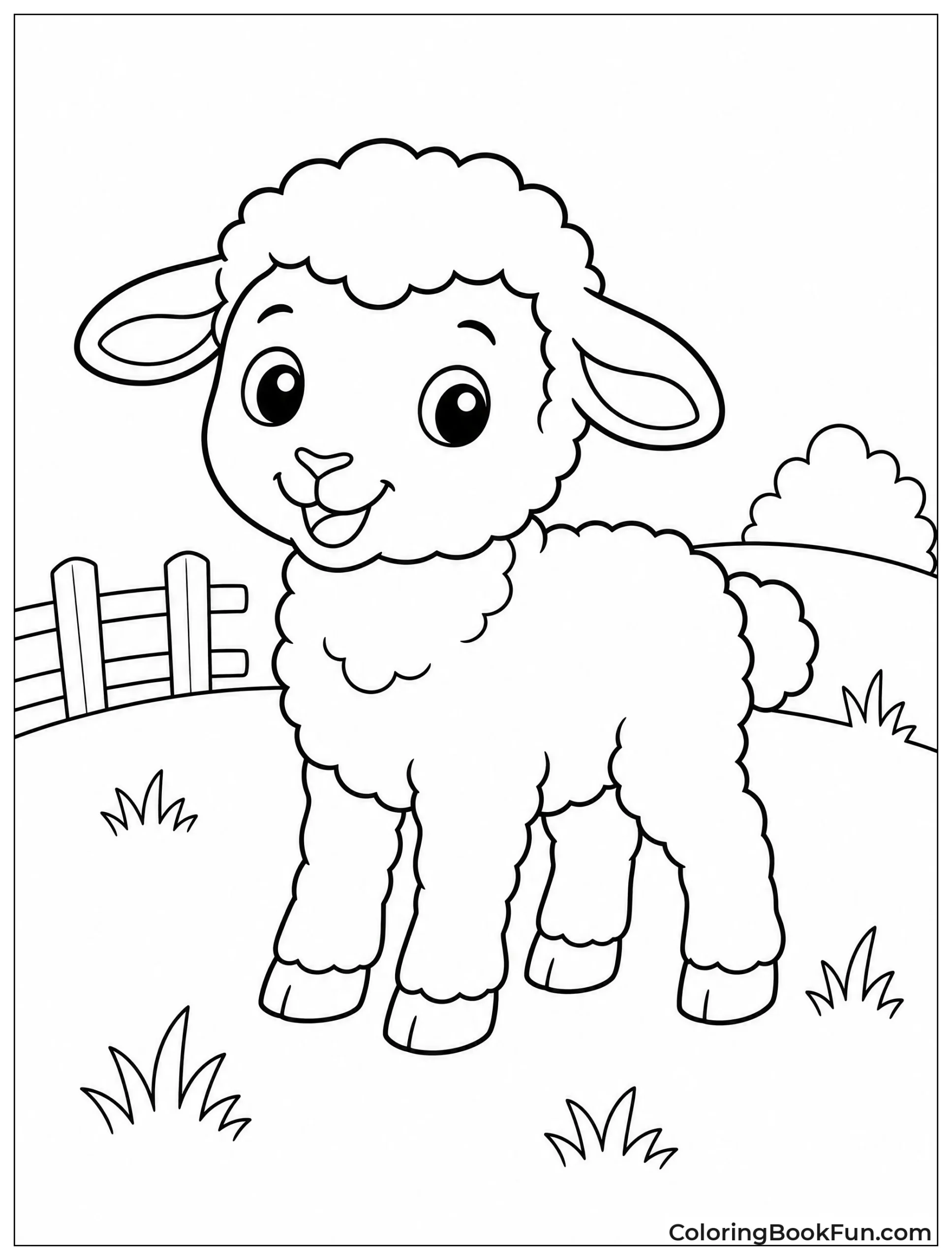 Little Lamb in Open Field