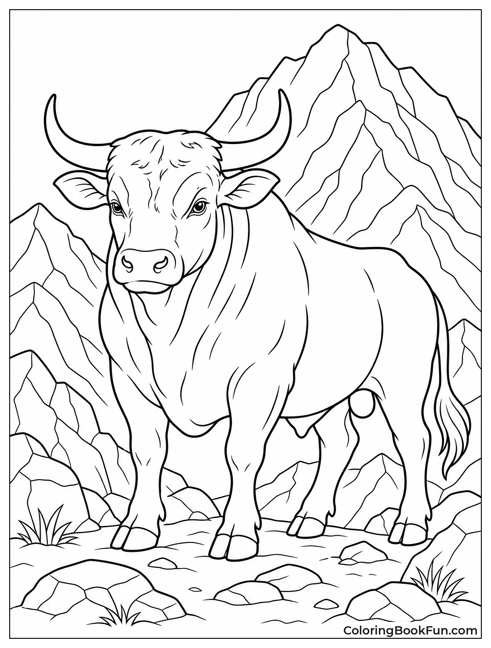Bull Standing on Rocky Mountain