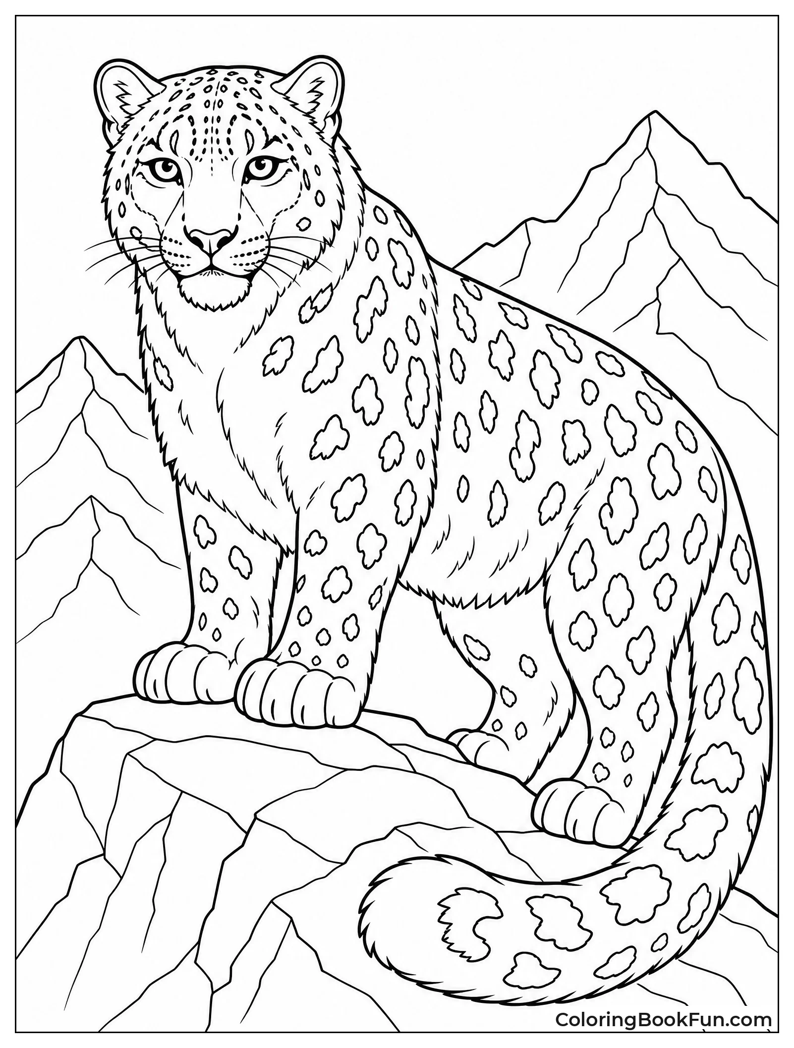 Snow Leopard Standing on a Rock