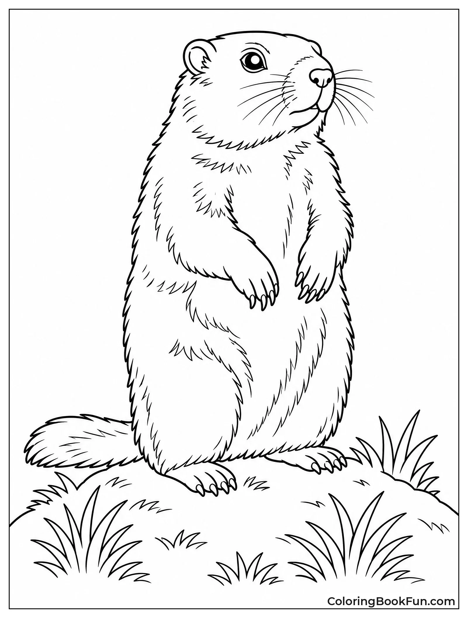 Realistic Groundhog Standing on Hind Legs