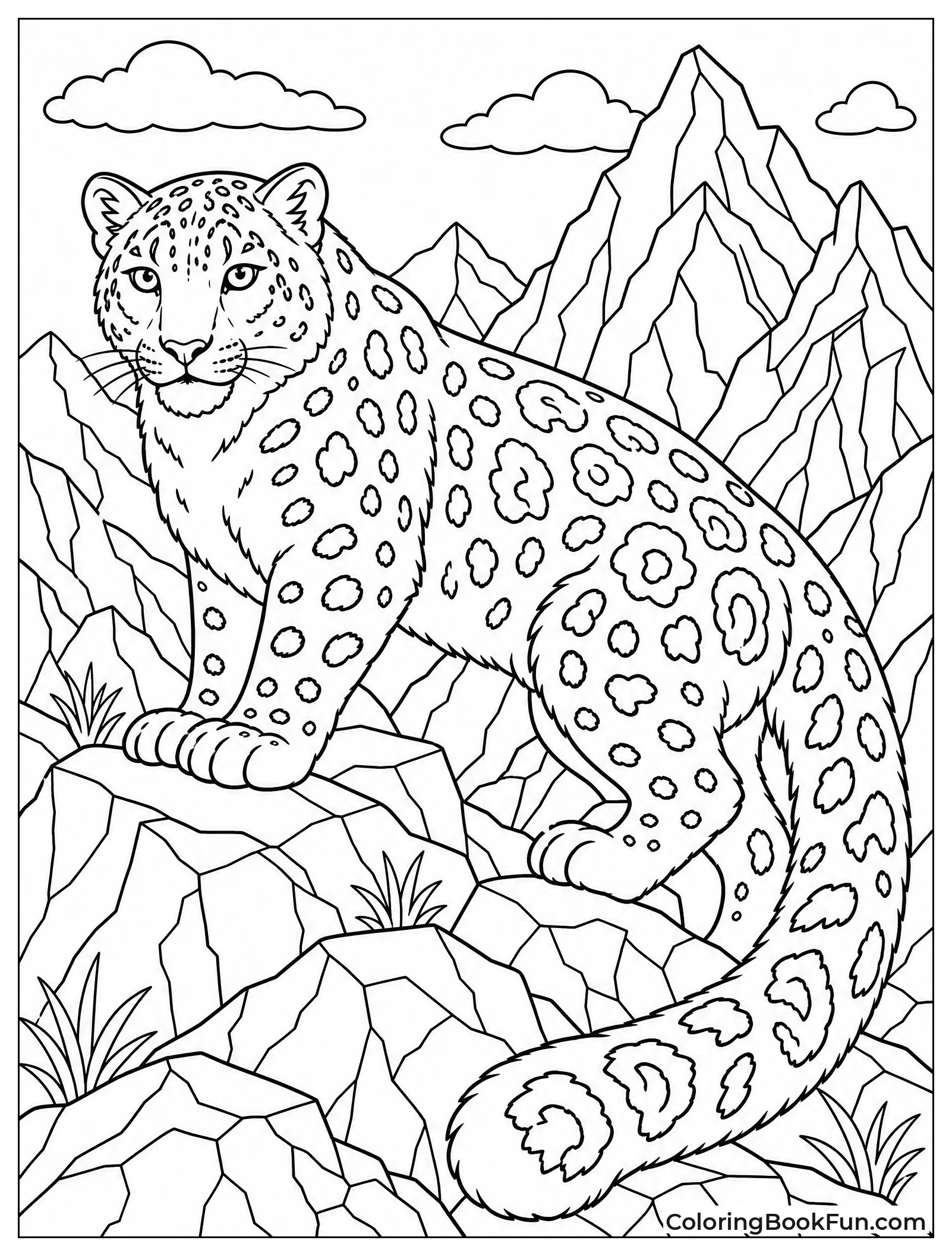 Snow Leopard Blends into Rocky Background