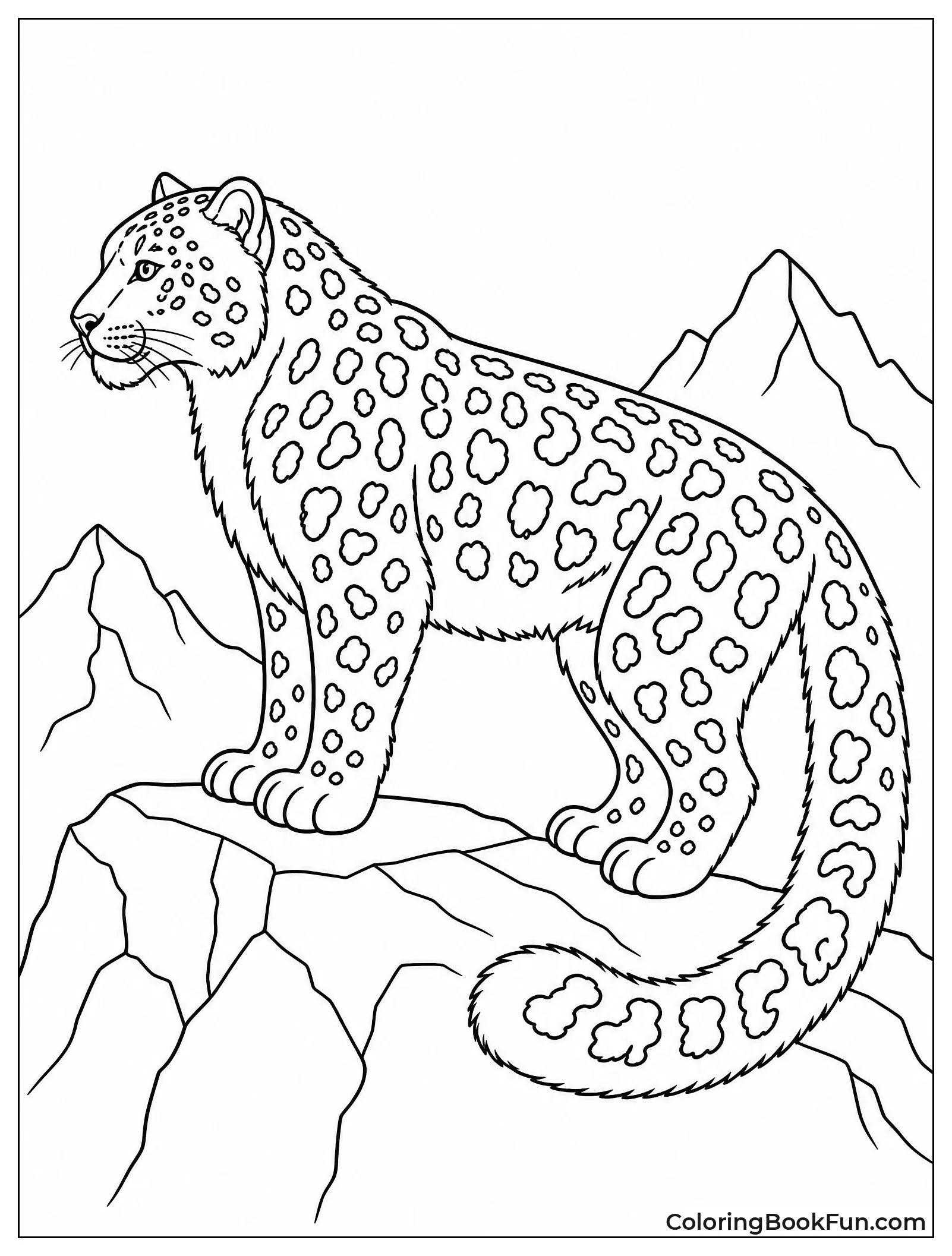 Snow Leopard Shows Detailed Rosette Spots