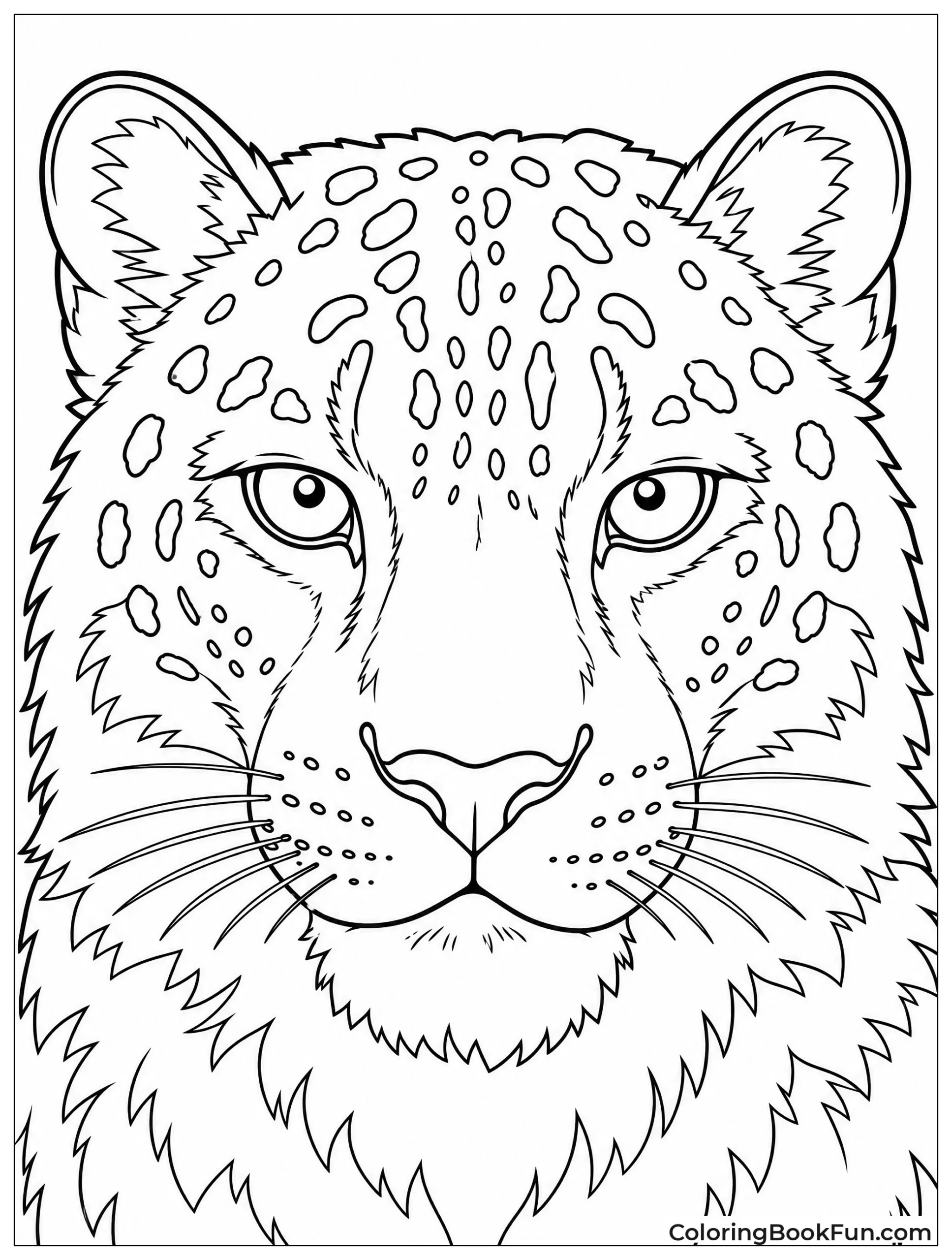 Snow Leopard Shows Piercing Green Eyes