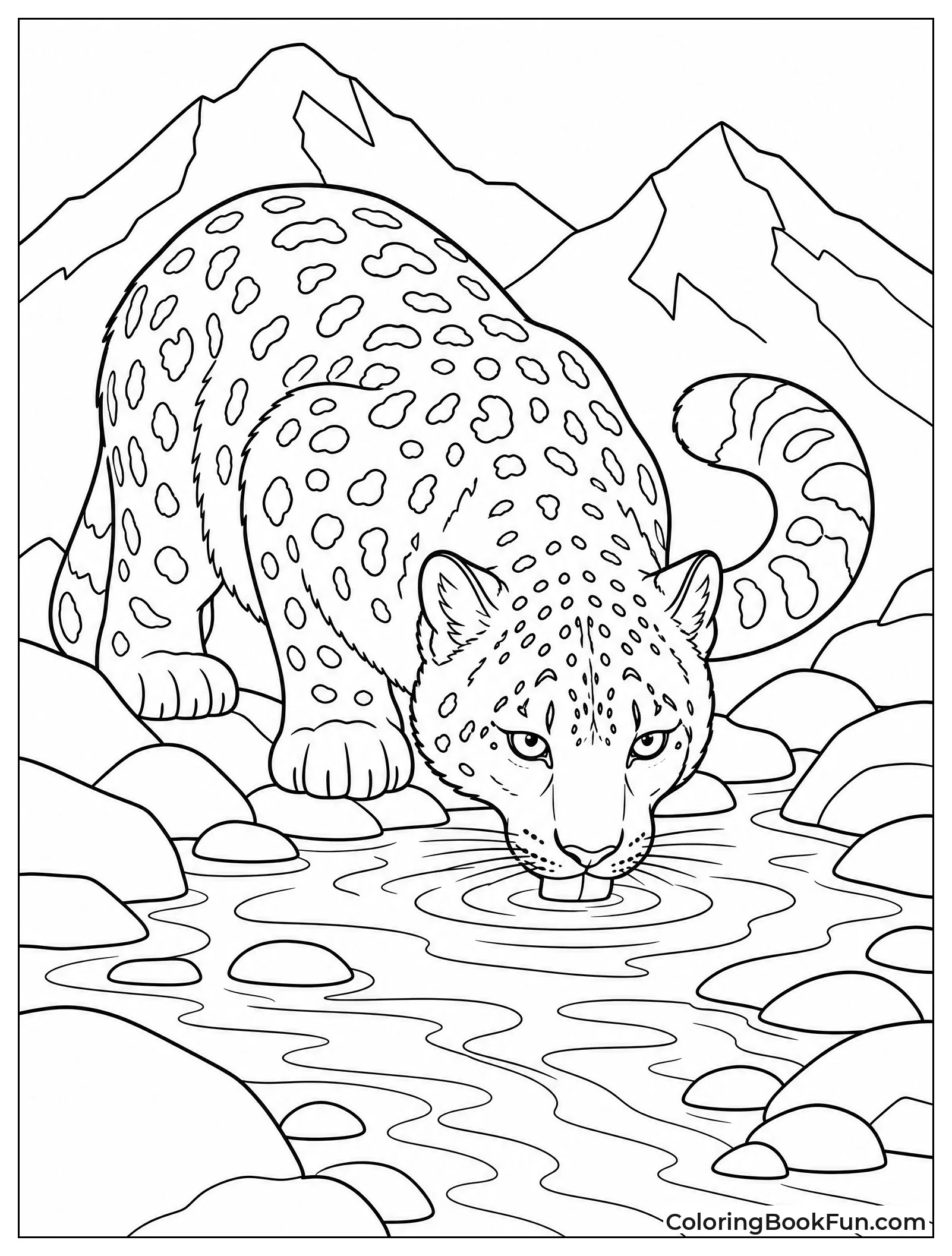 Snow Leopard Drinks from Icy Stream