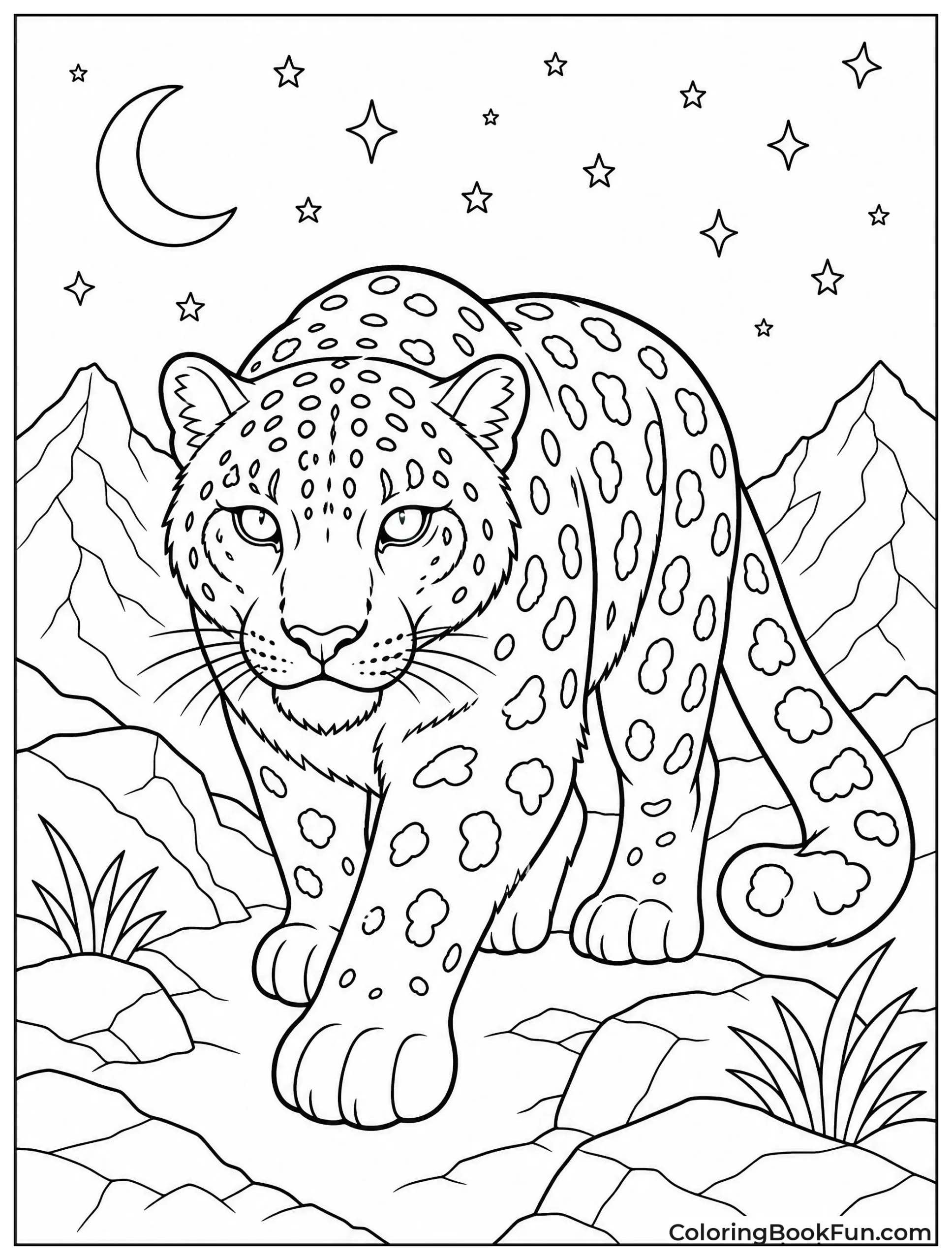Snow Leopard Hunts Under Starry Sky