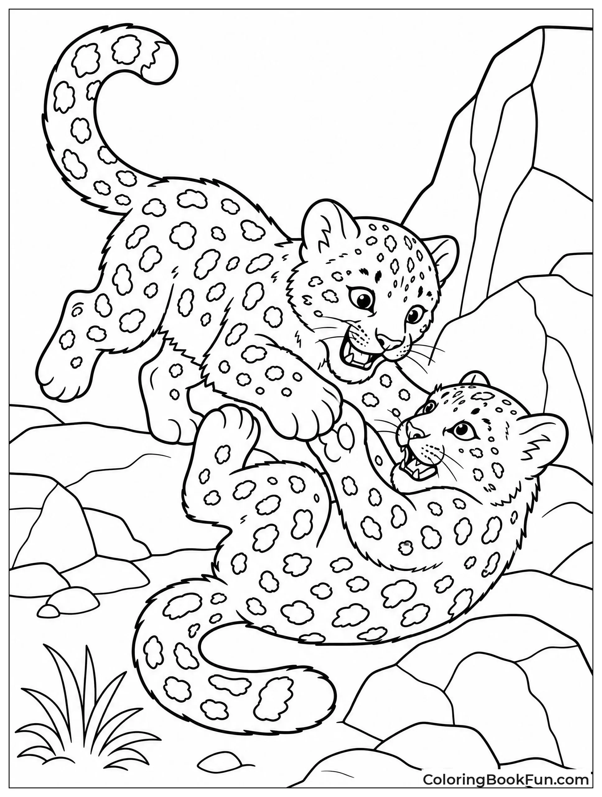Two Young Snow Leopards Wrestle Playfully