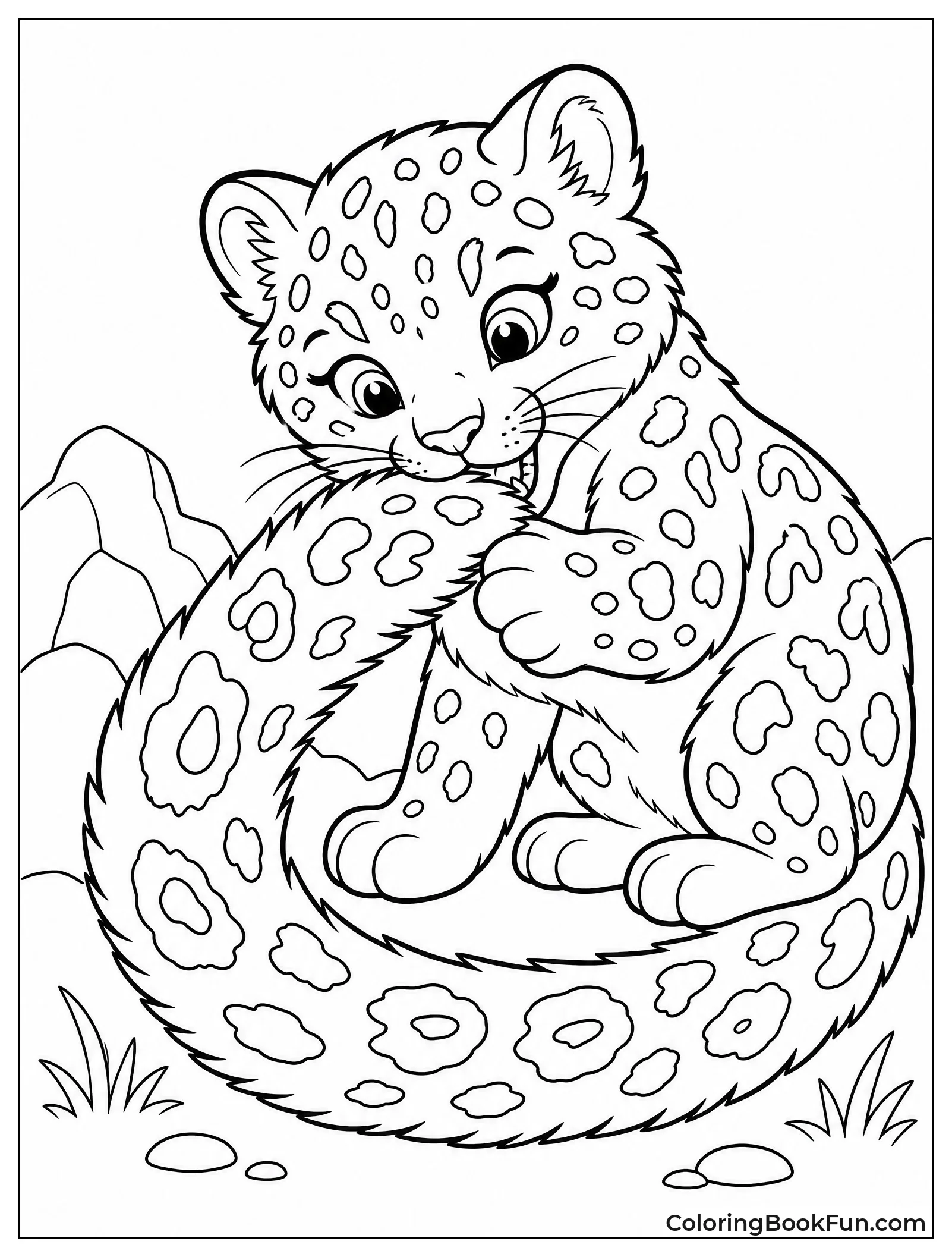 Young Snow Leopard Plays with Tail