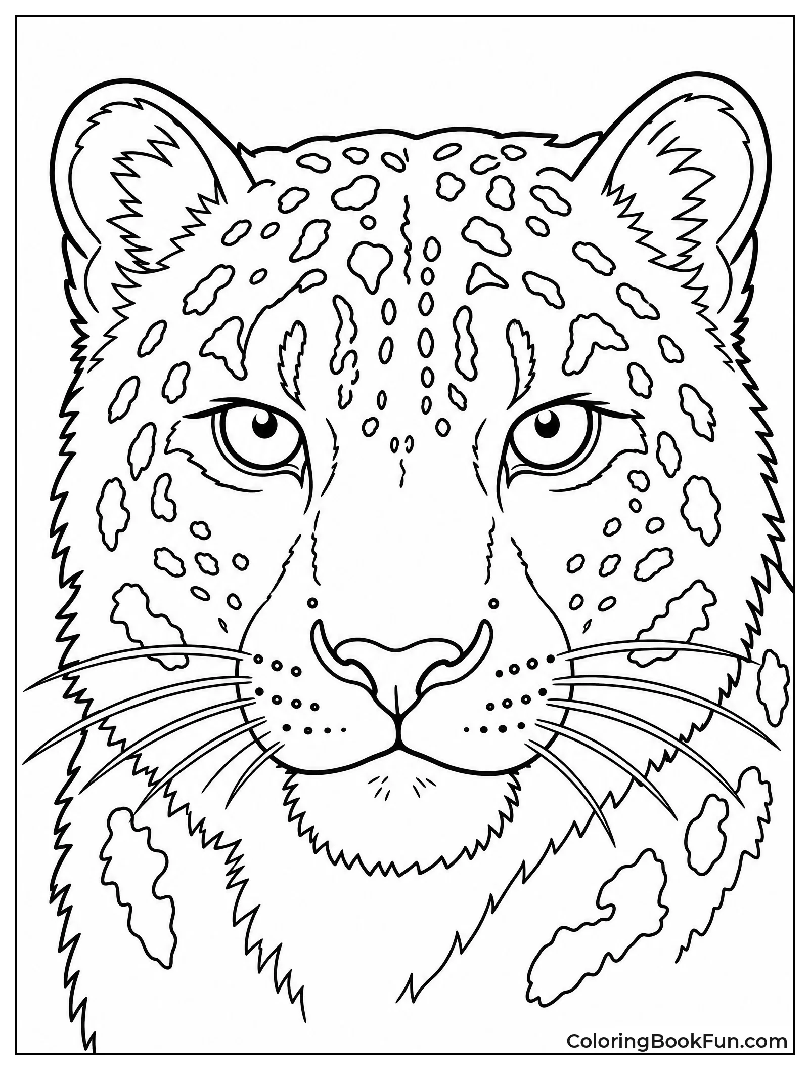 Snow Leopard Portrait with Intense Eyes