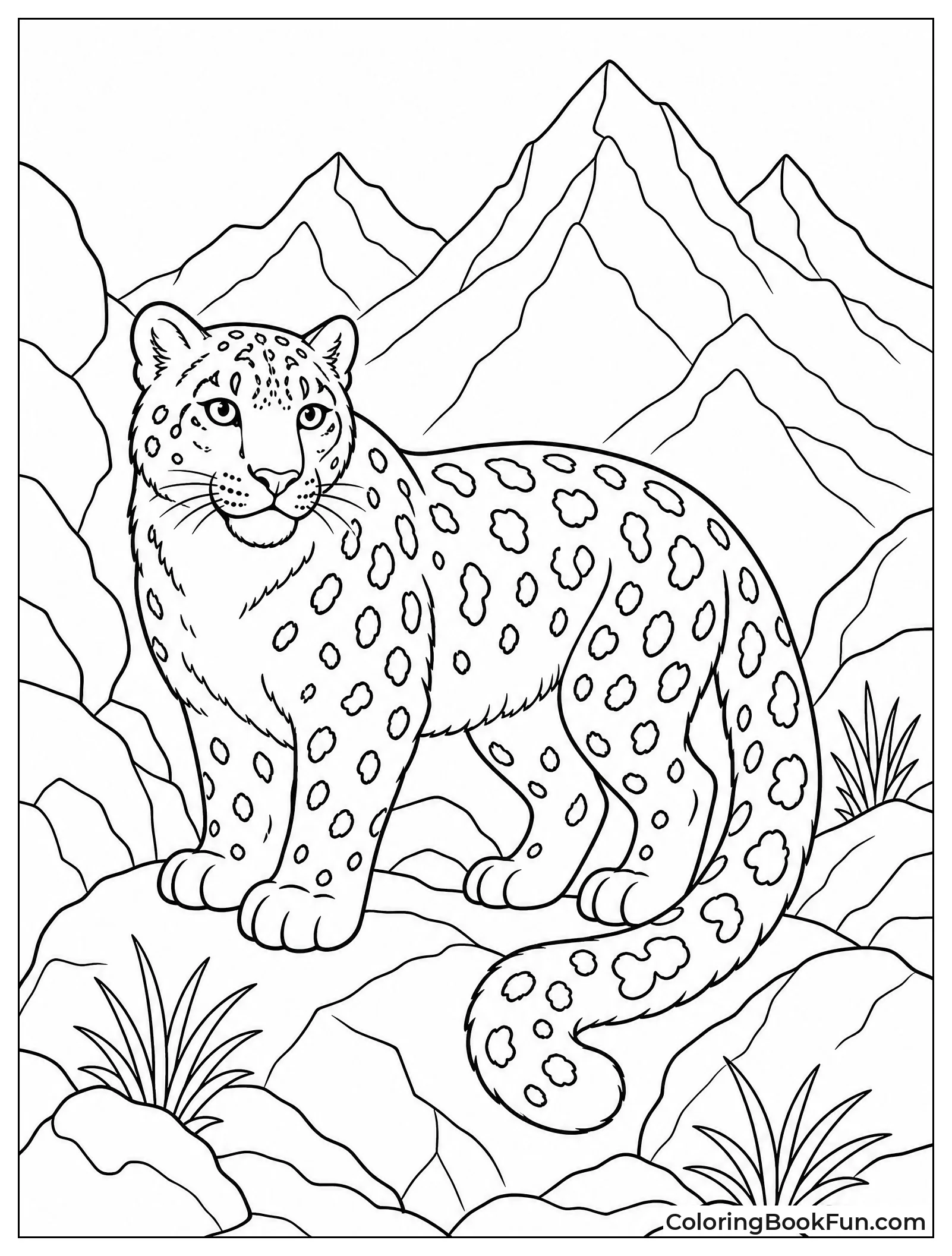 Snow Leopard Walks Amid Rocky Boulders