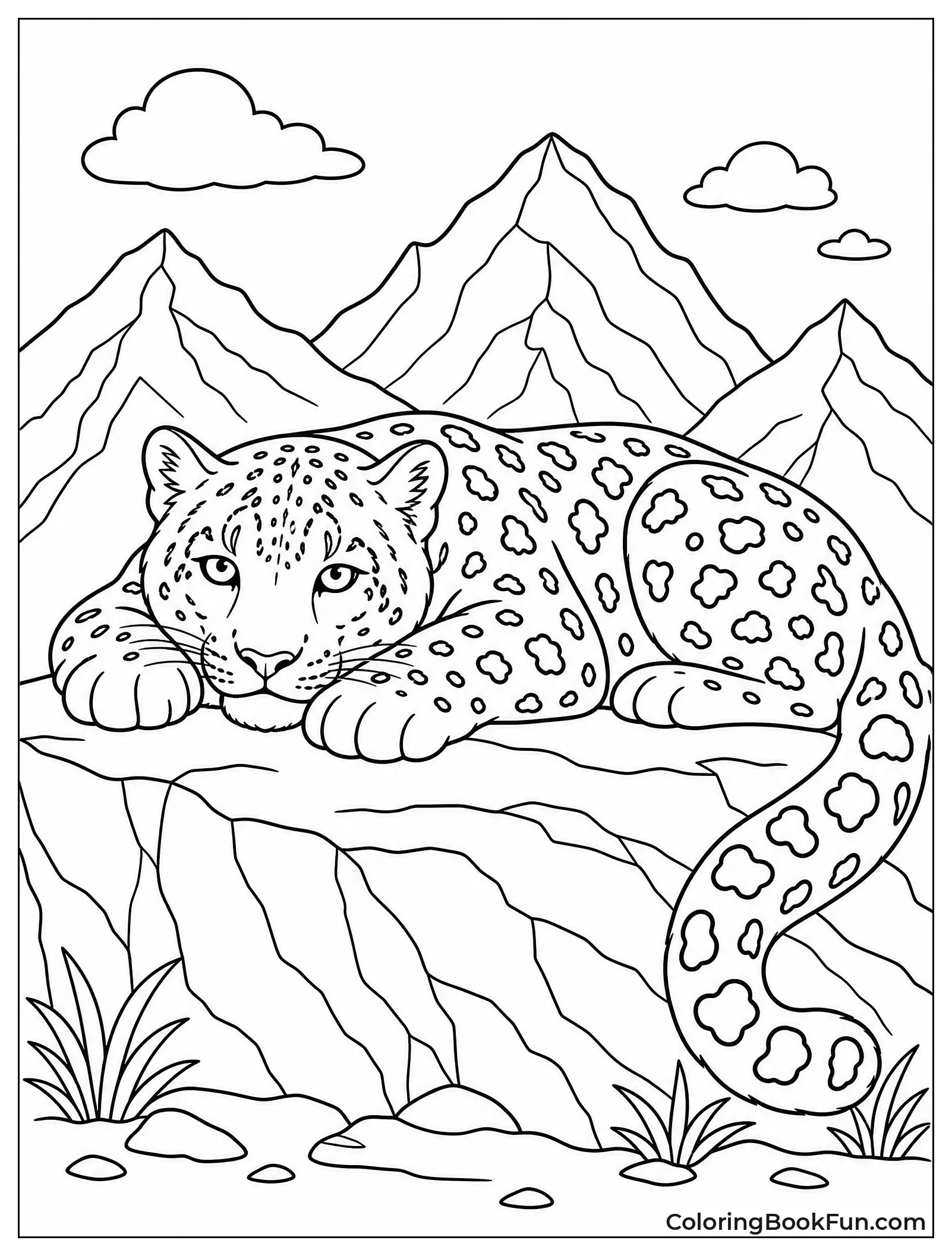 Snow Leopard Lies on Sunlit Rock
