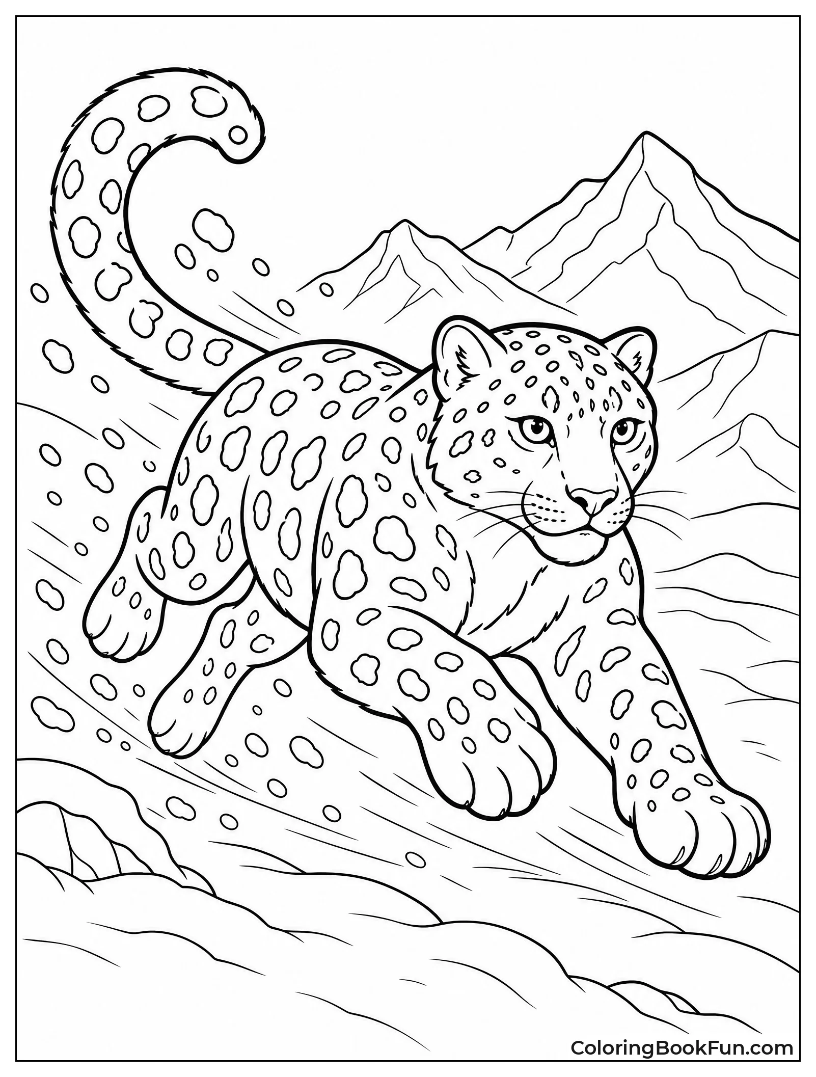 Snow Leopard Runs Through Fresh Snow