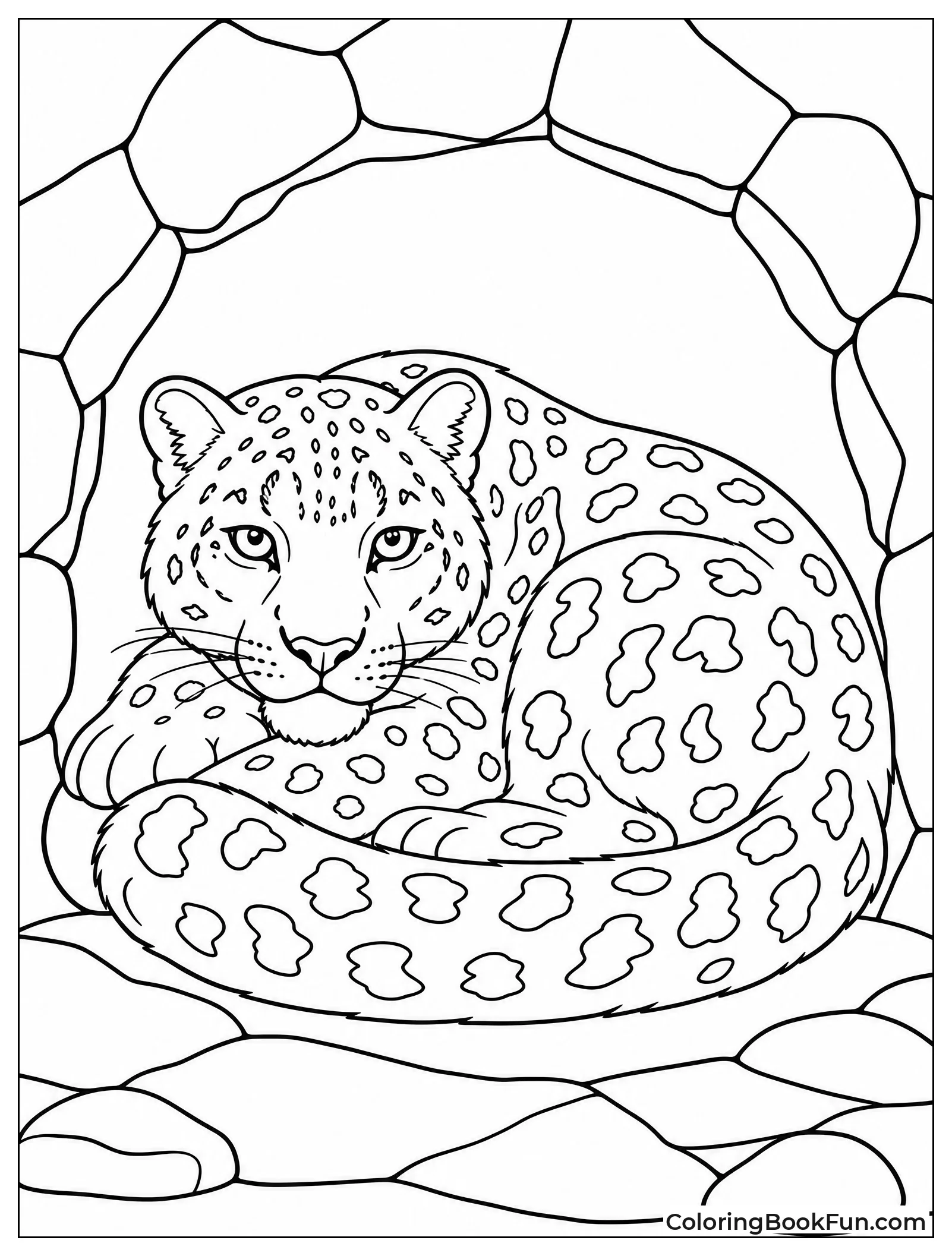 Snow Leopard Sleeps Curled in Cave