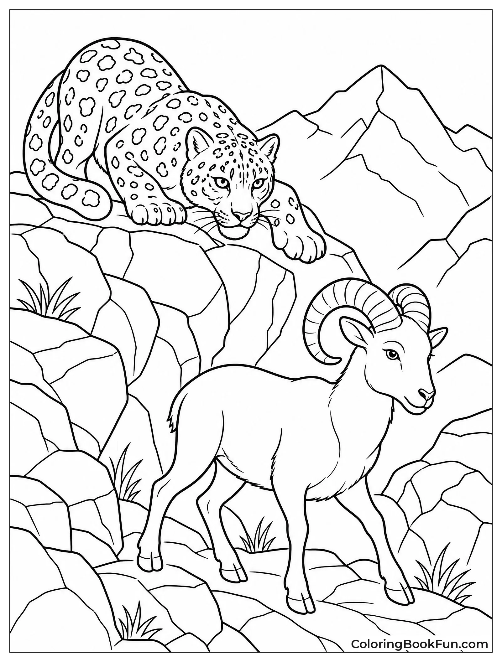 Snow Leopard Stalks Prey on Rocks
