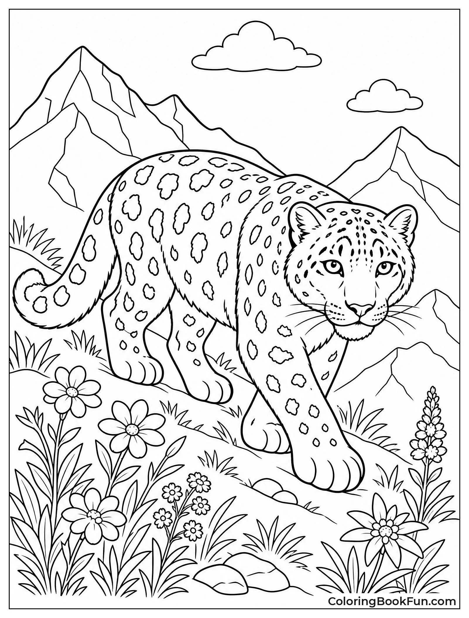 Snow Leopard Walks Through Alpine Flowers